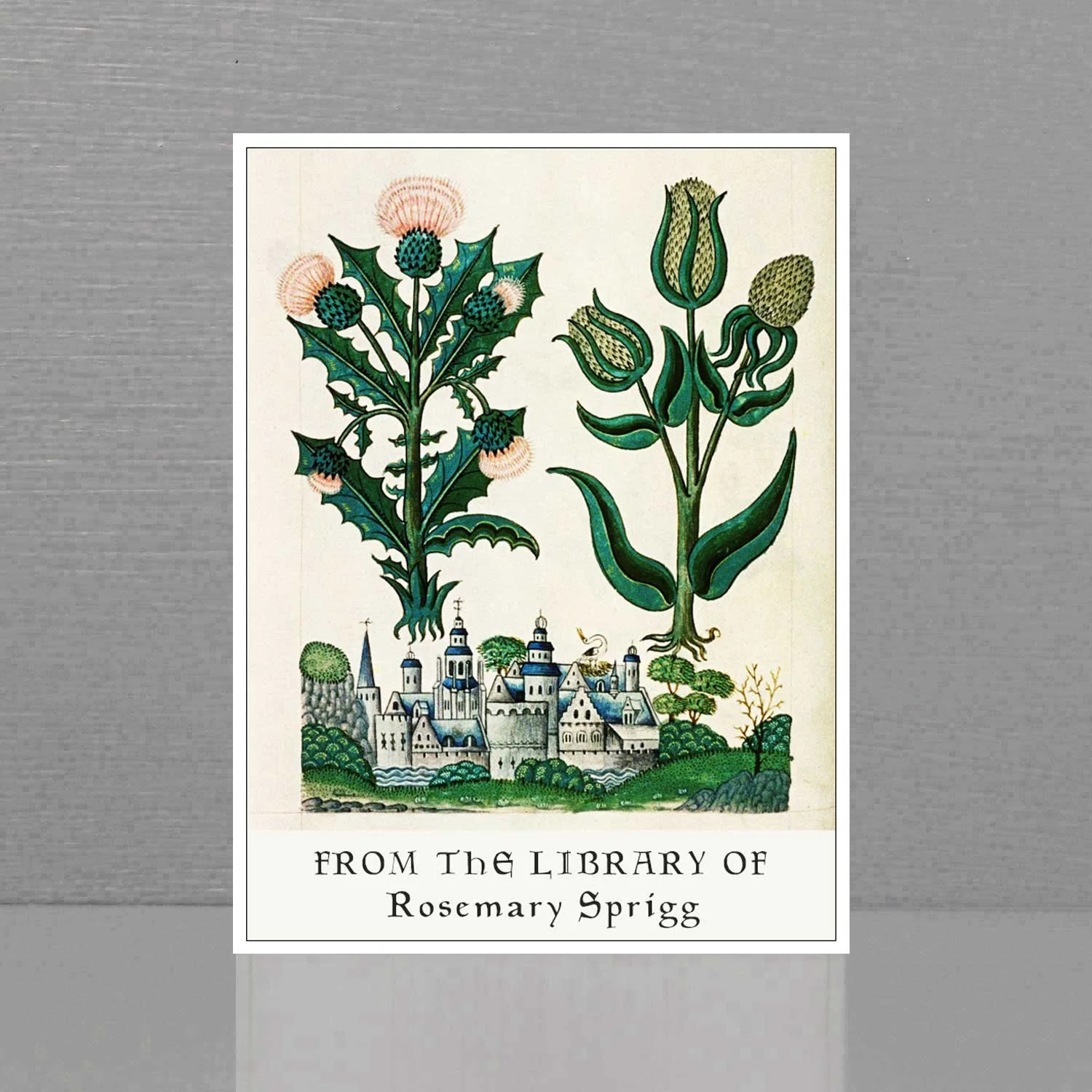 Tudor illustration of plants and castle.