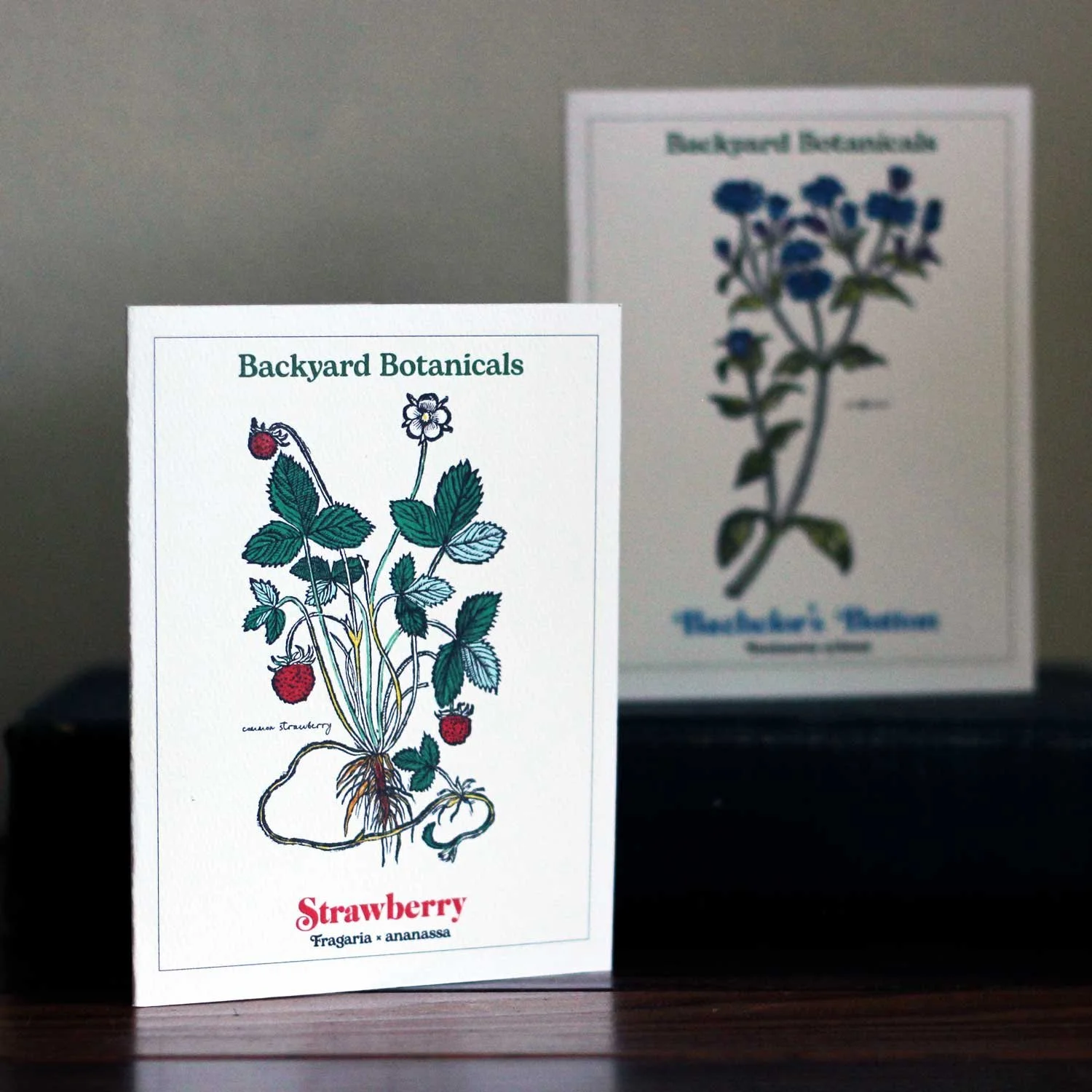 All Occasion Backyard Botanical Cards, Set of 6