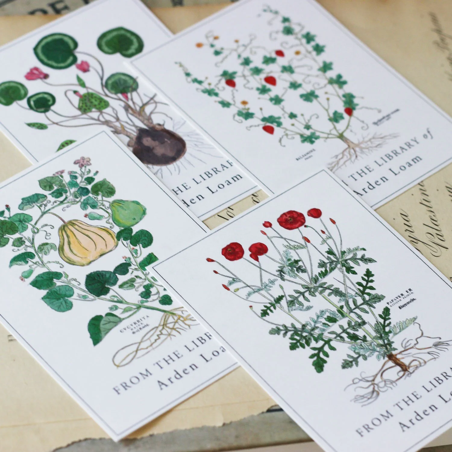 botanical_bpset.jpg