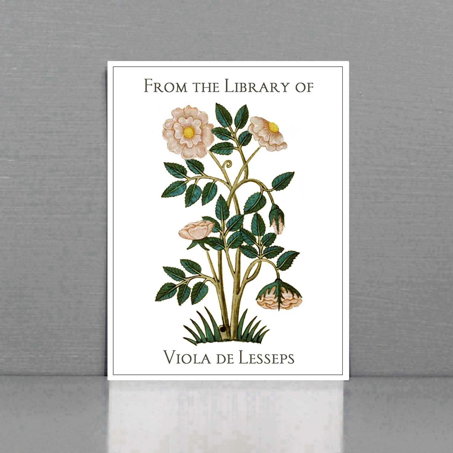 bookplate_tudor_rose_pink.jpg
