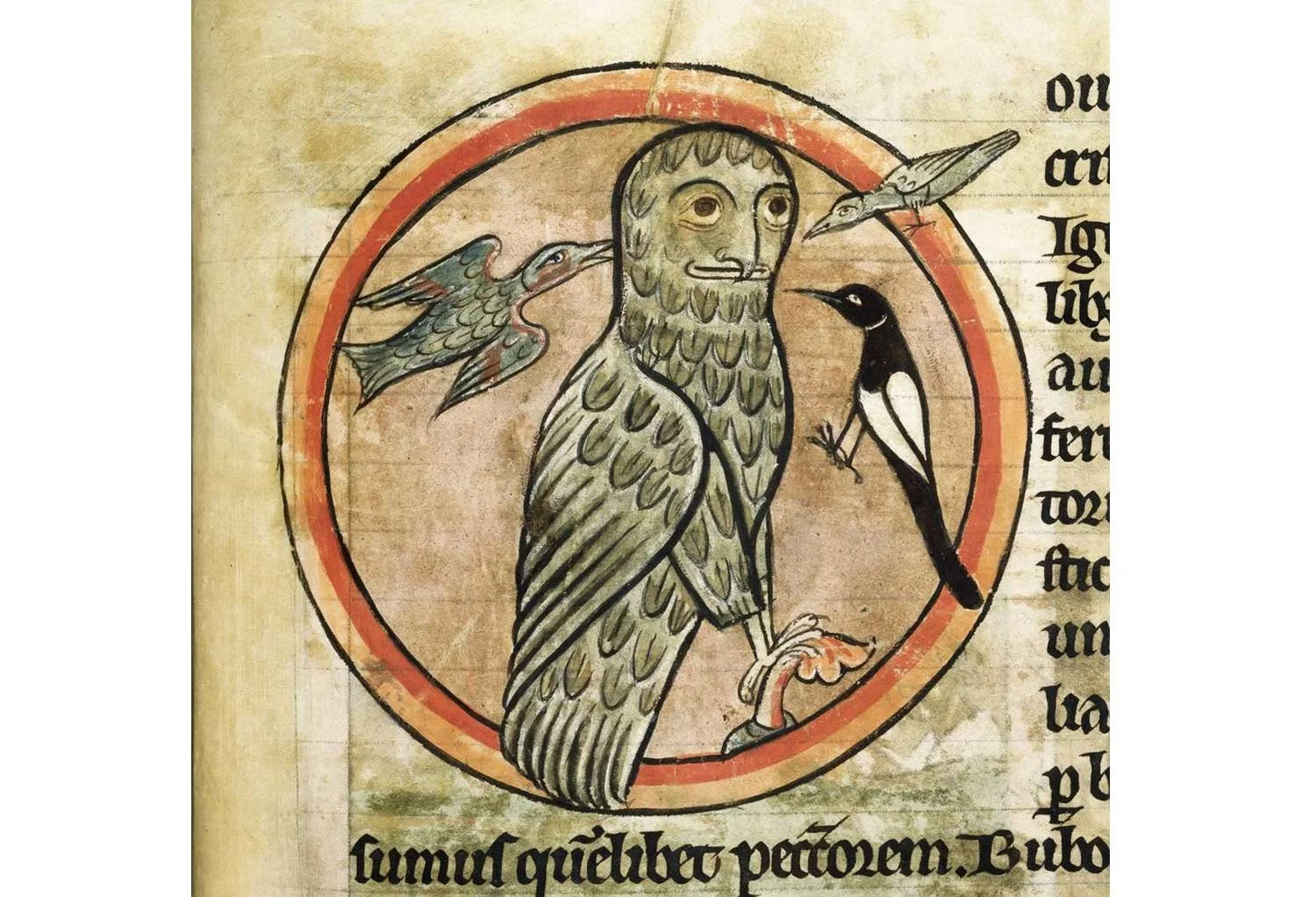 Medieval manuscript with owl.