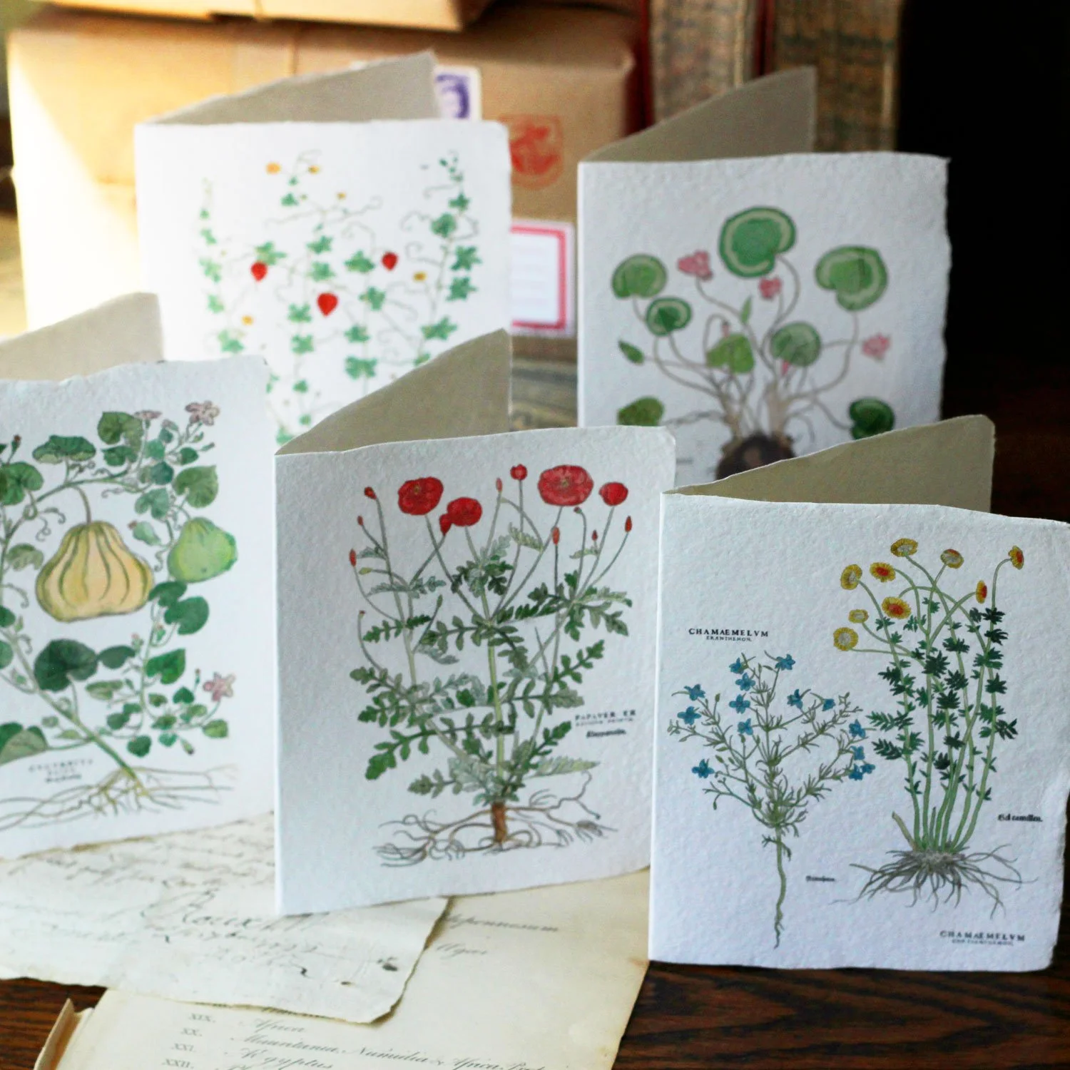 botanicals_1.jpg