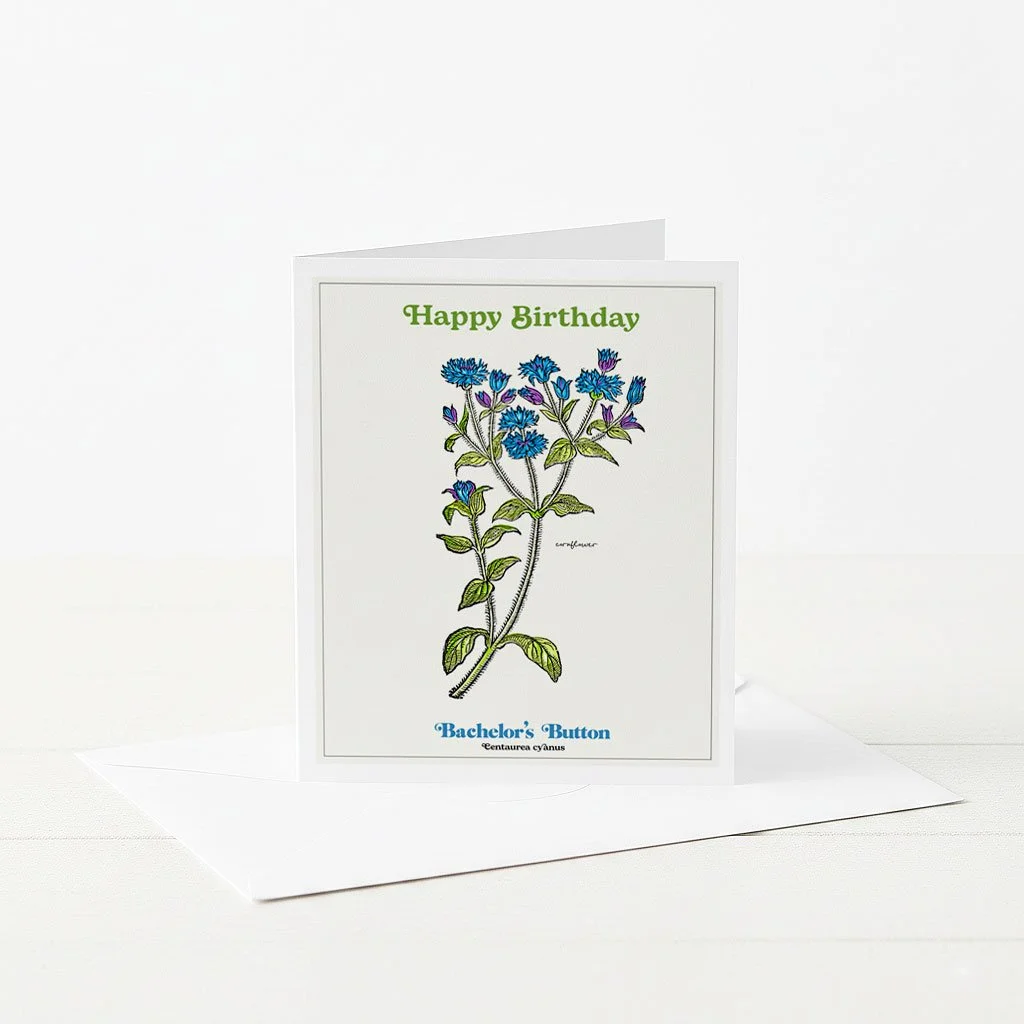 Happy Birthday botanical greeting cards with illustrated Bachelor's Button.