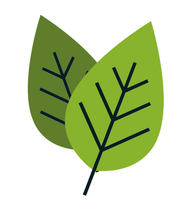 Green%20Leaf_W_Dark%20Green%20Leaf (2).png