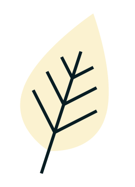 White%20Leaf (2).png