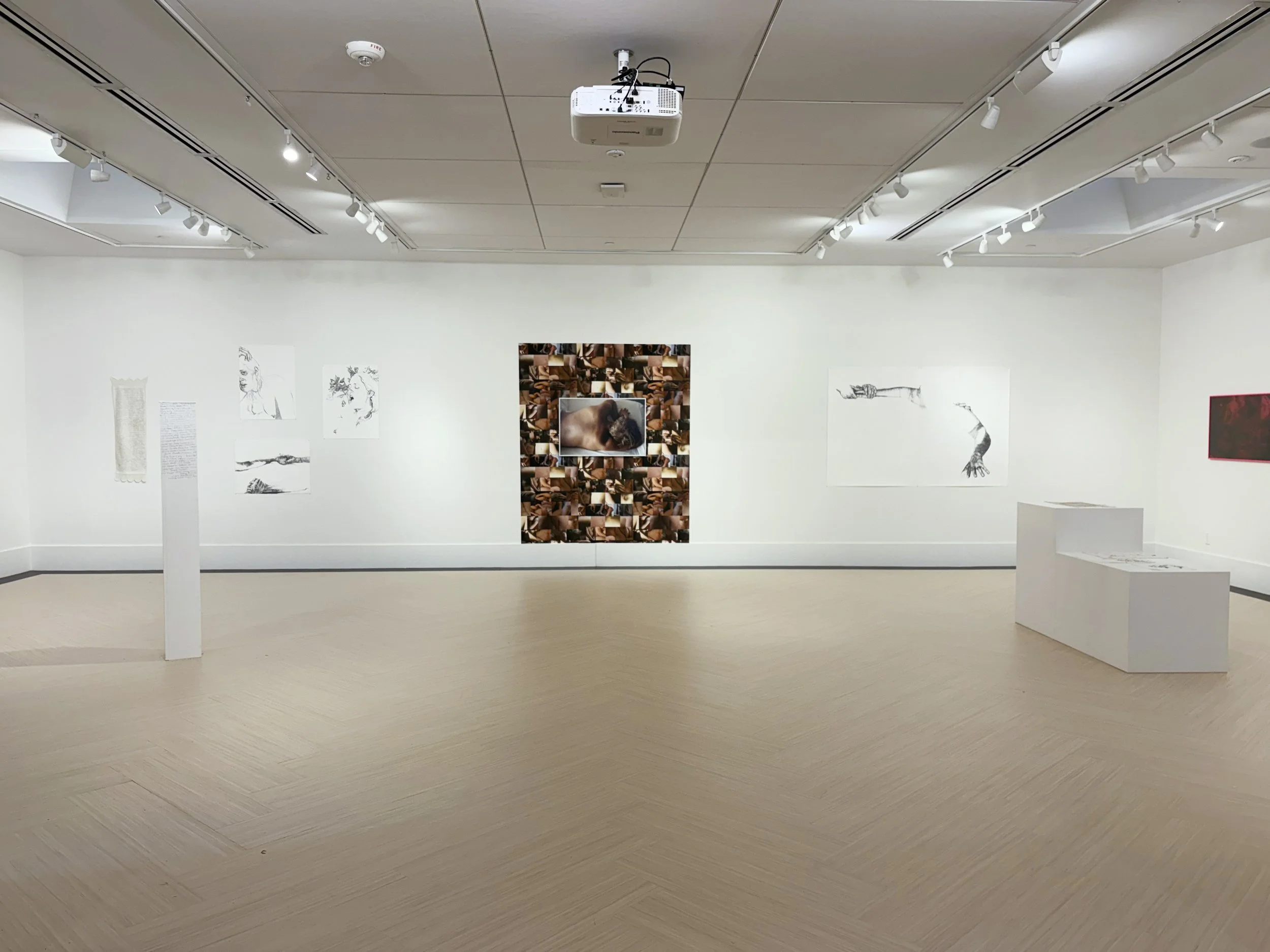 Changing Skins, Ishibashi Gallery, Middlesex School, Concord, Ma, 2025
