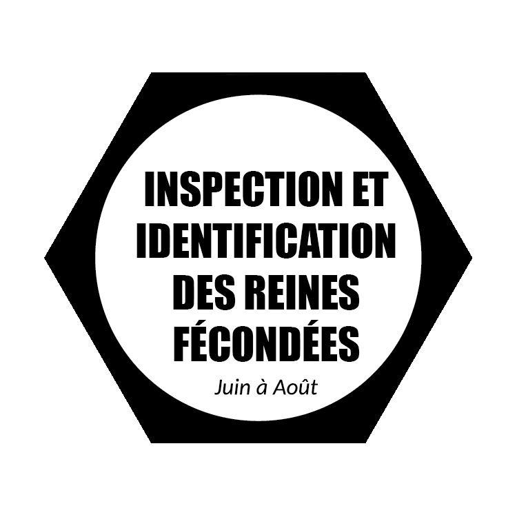 InspectionIdentification.png