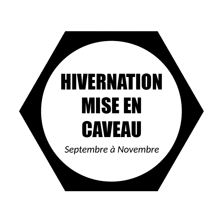 Hivernation.png