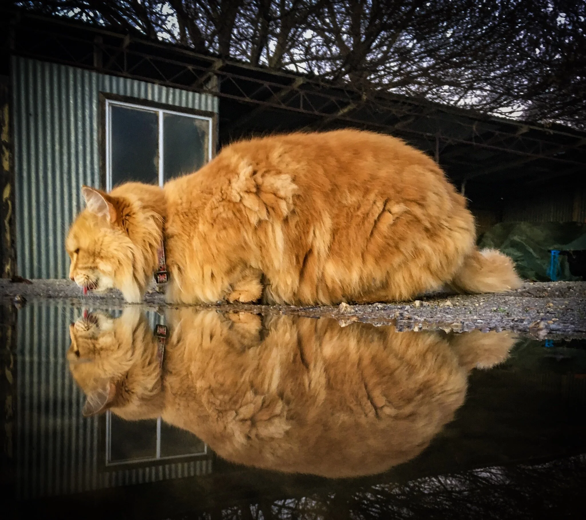 The photo that started it.