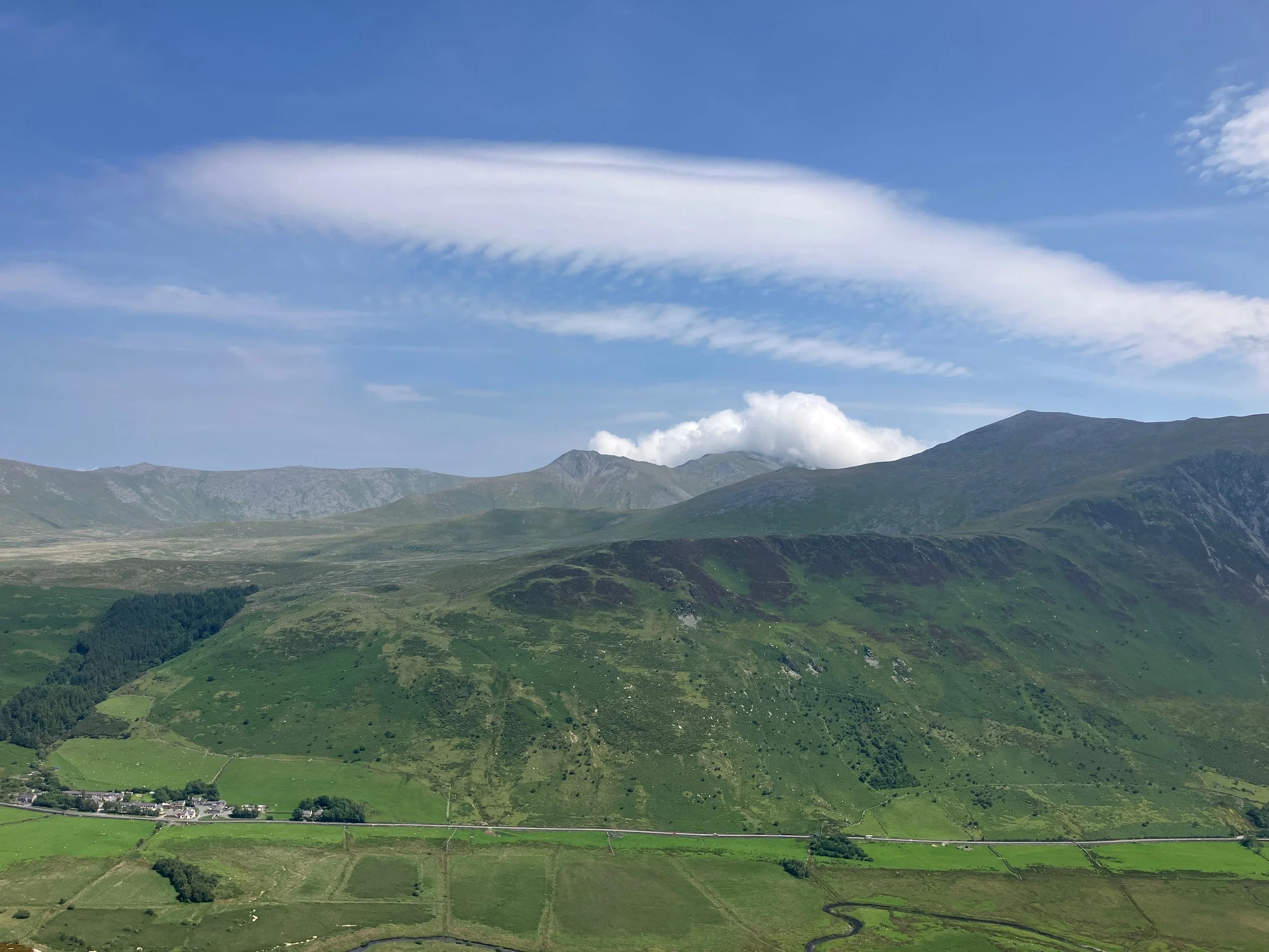 Cultivating Connection: How Nature Nurtures Our Wellbeing