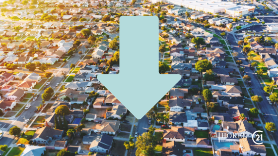 Blog post photos (1).png