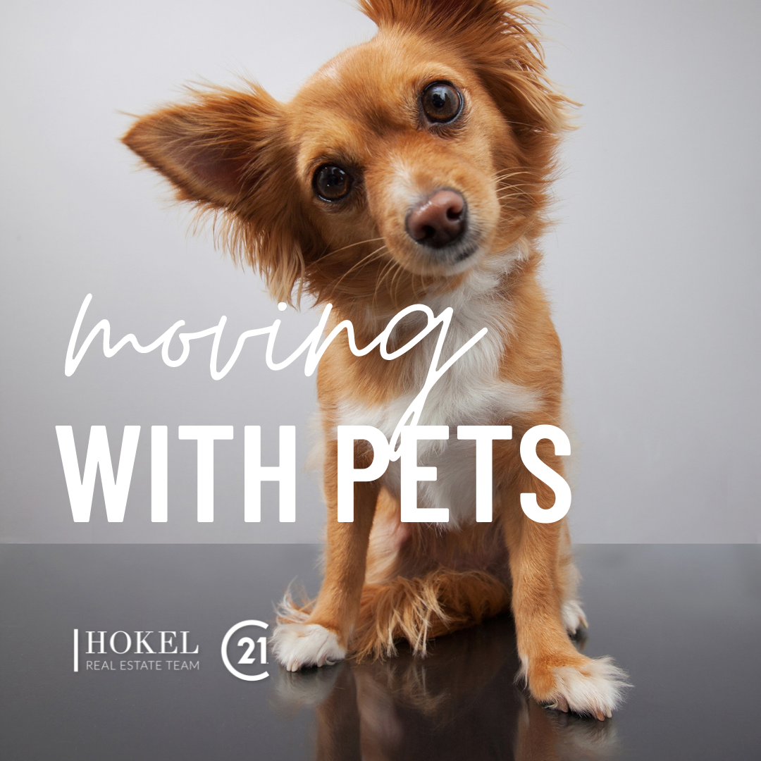 Weekly info post (1).png