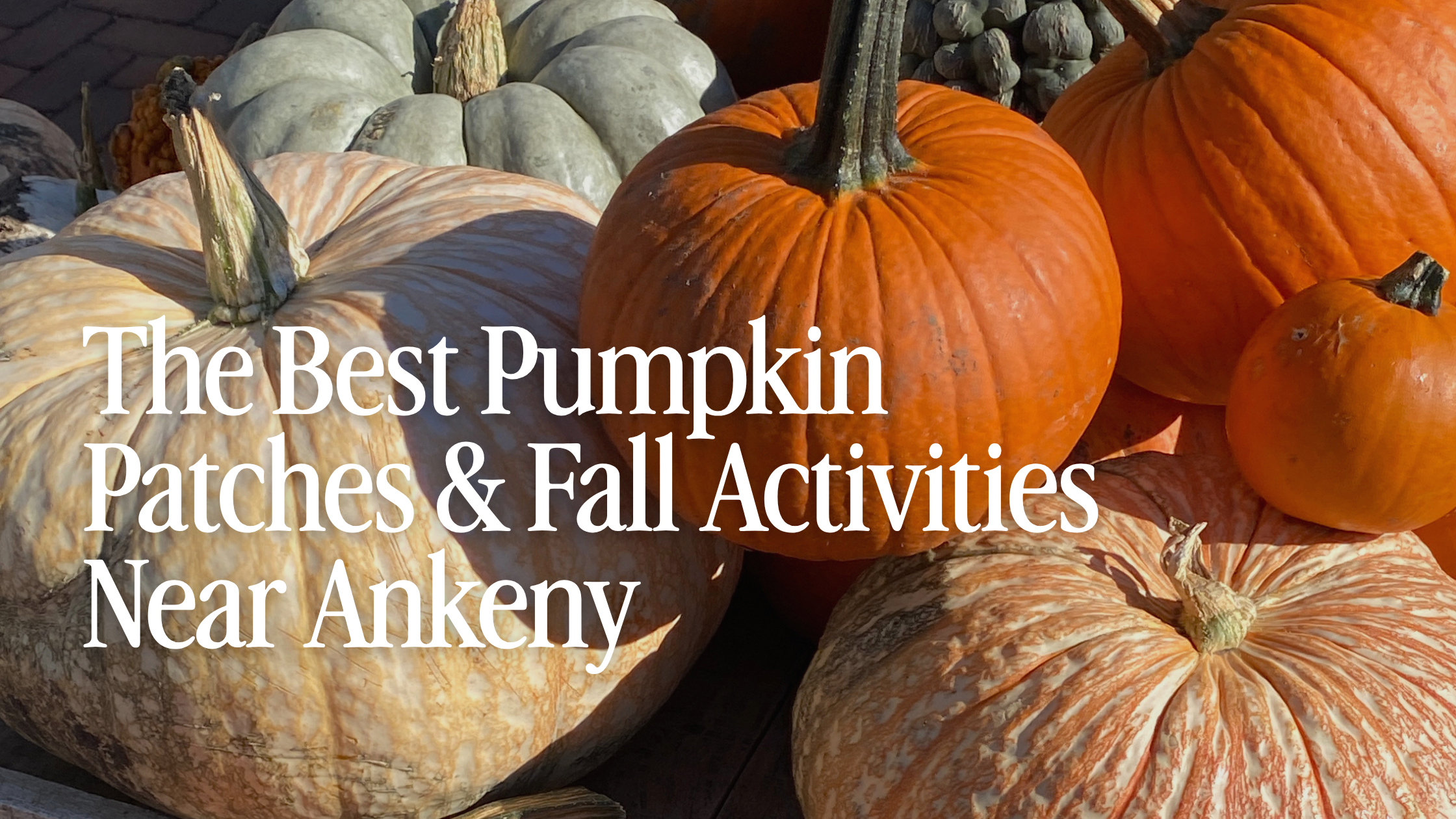The Best Pumpkin Patches &amp; Fall Activities Near Ankeny