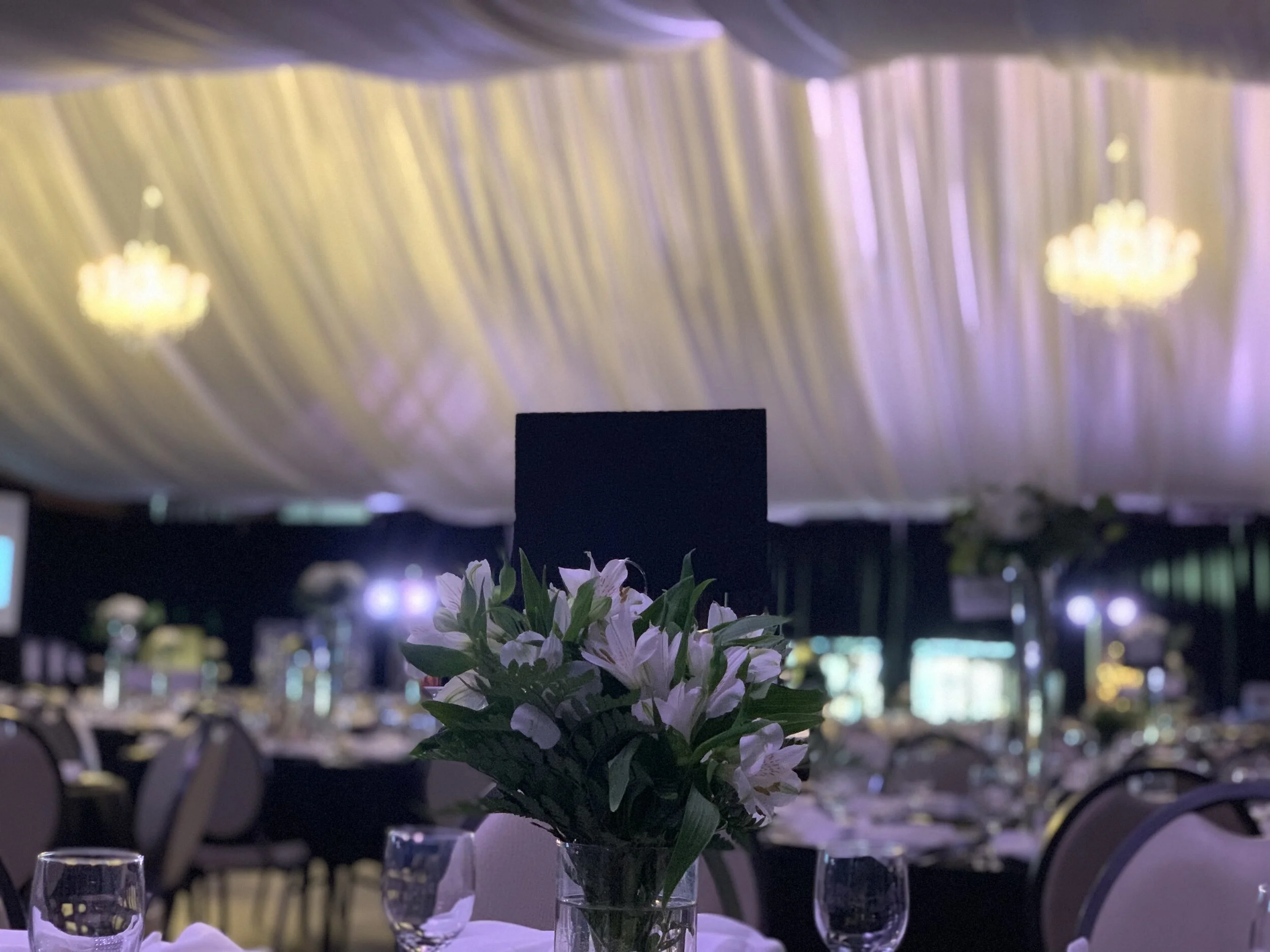 2019 Healthcare Foundation Black Cat Ball - Cam-Plex Wyoming Center, Frontier Hall