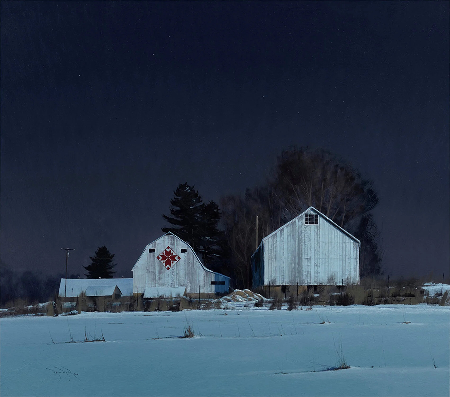 Buffalo County Nordic Star