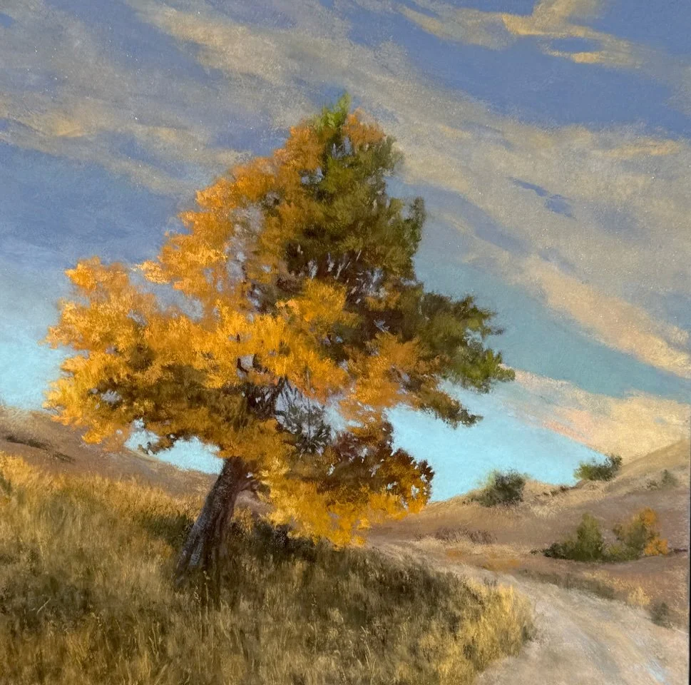 Shannon O'Dunn: Autumn’s Alchemy
