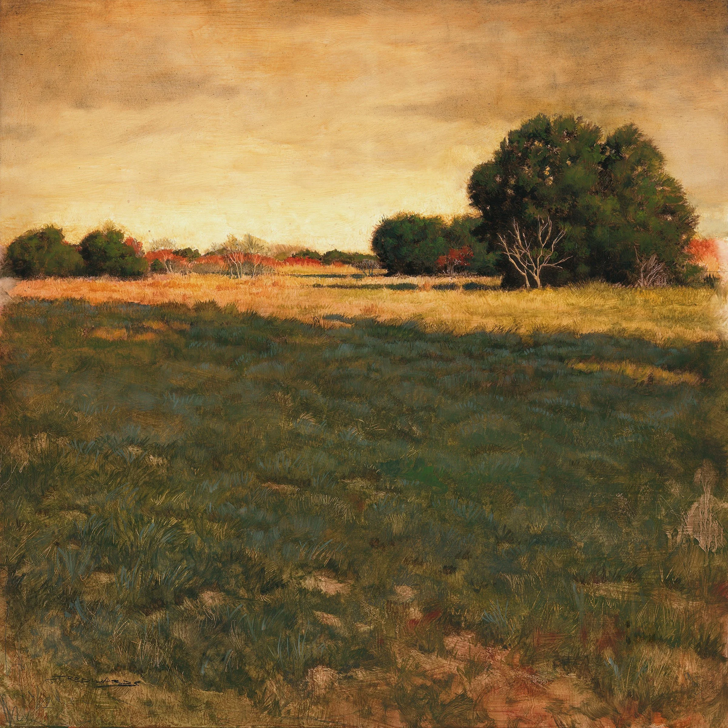 Joel Edwards: Liminal Space