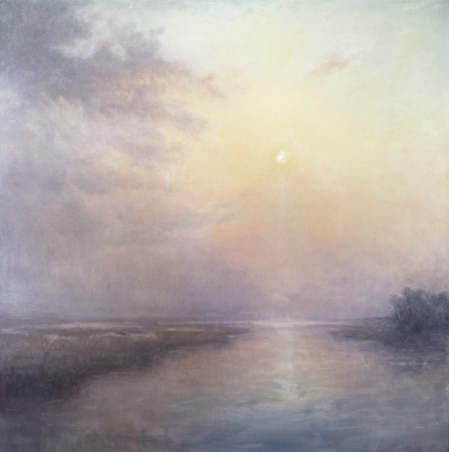 Mary Veiga: Light Remains