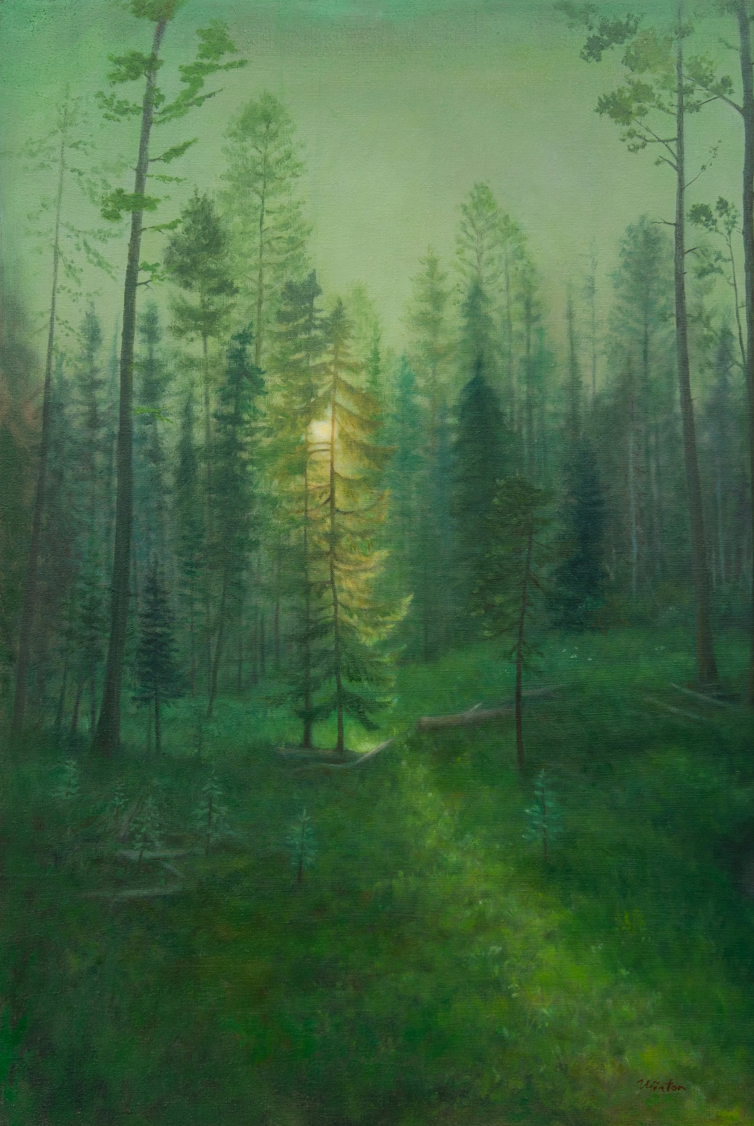 Karen Minton: The Light Path