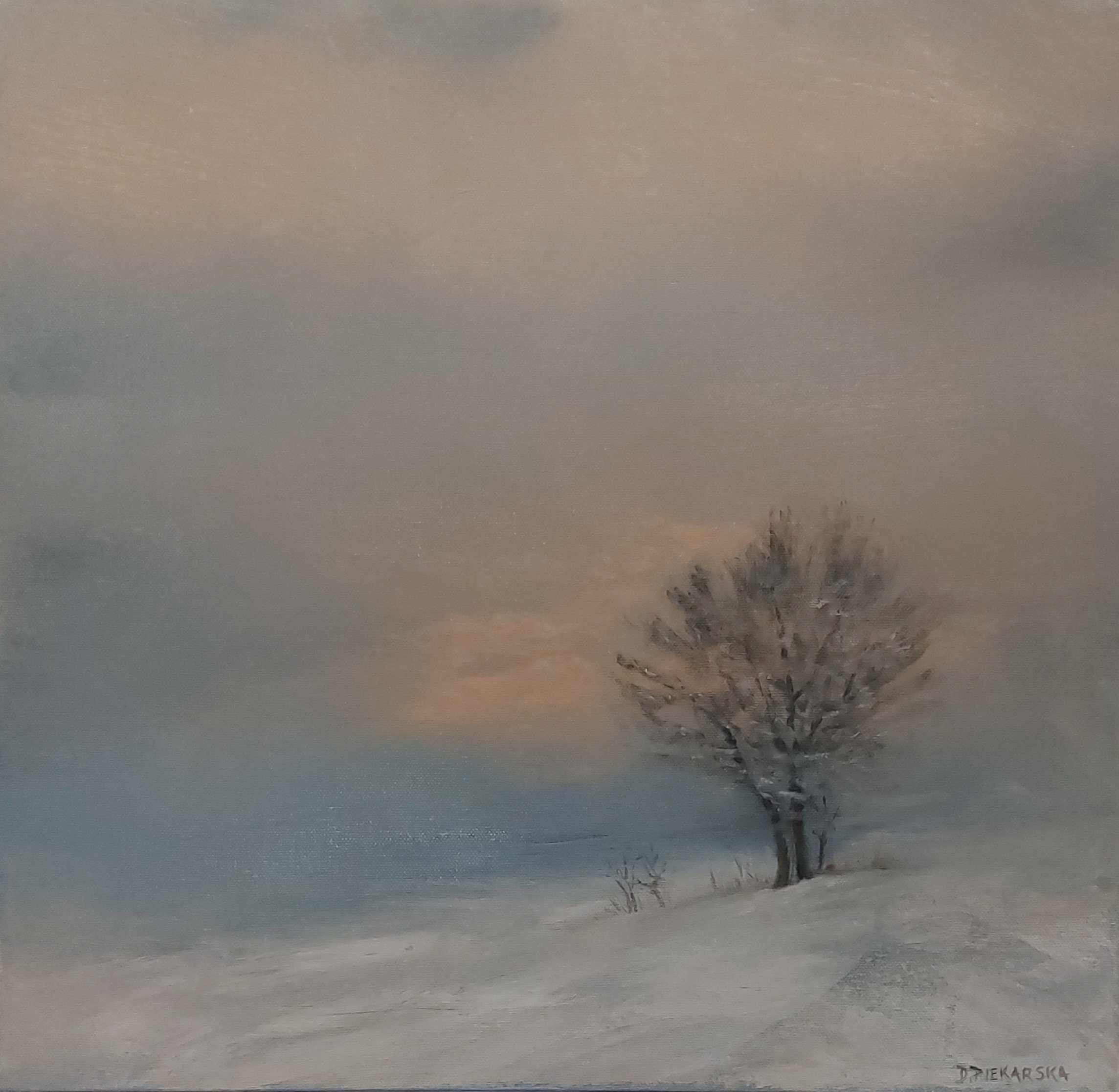 Dominika Piekarska: Winters Day