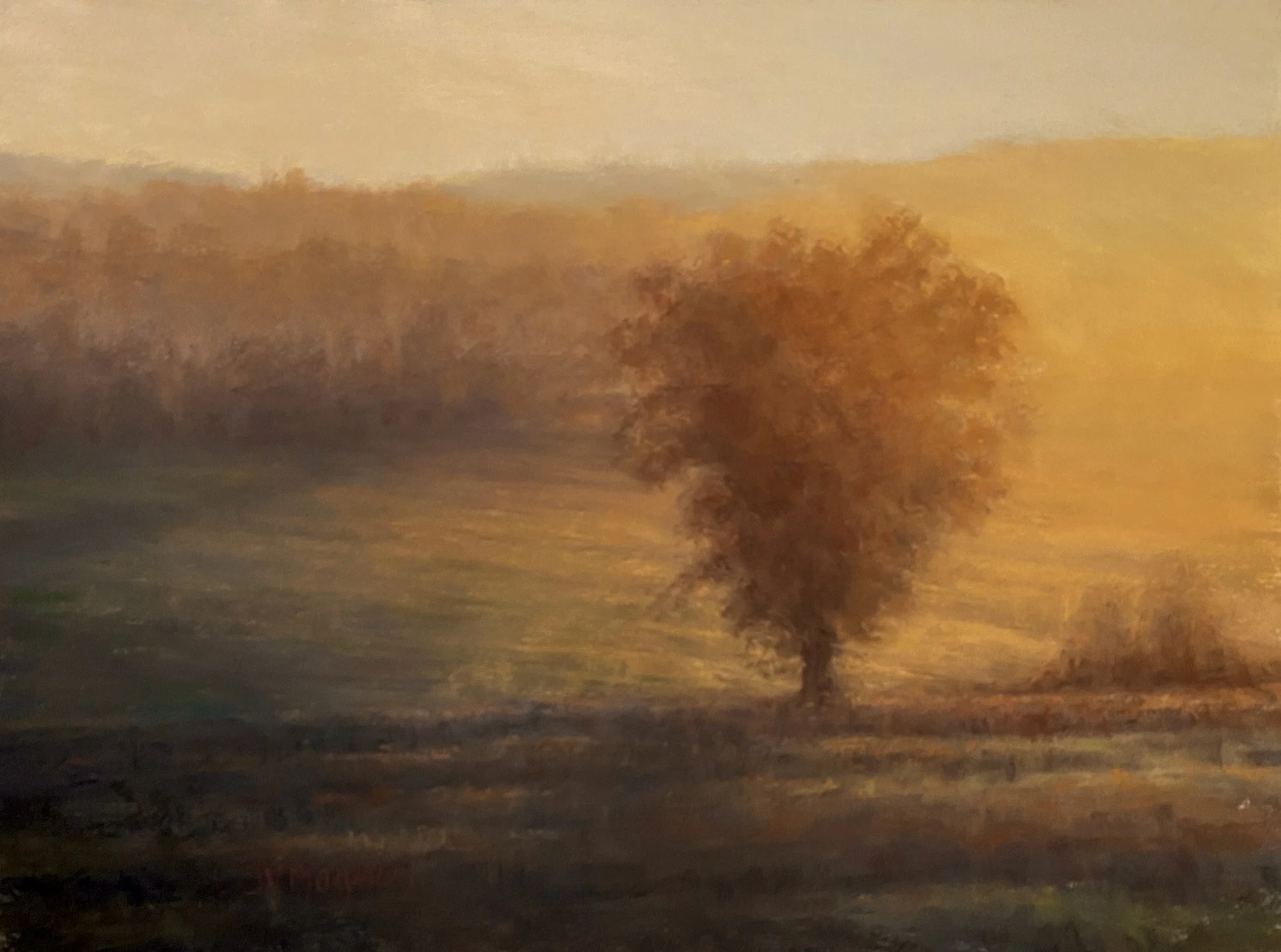 Judy Magoon: Still Time