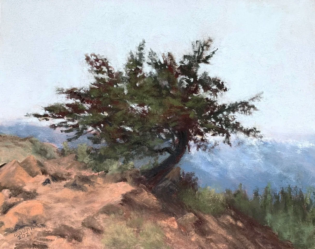 Shannon O'Dunn: Looking West