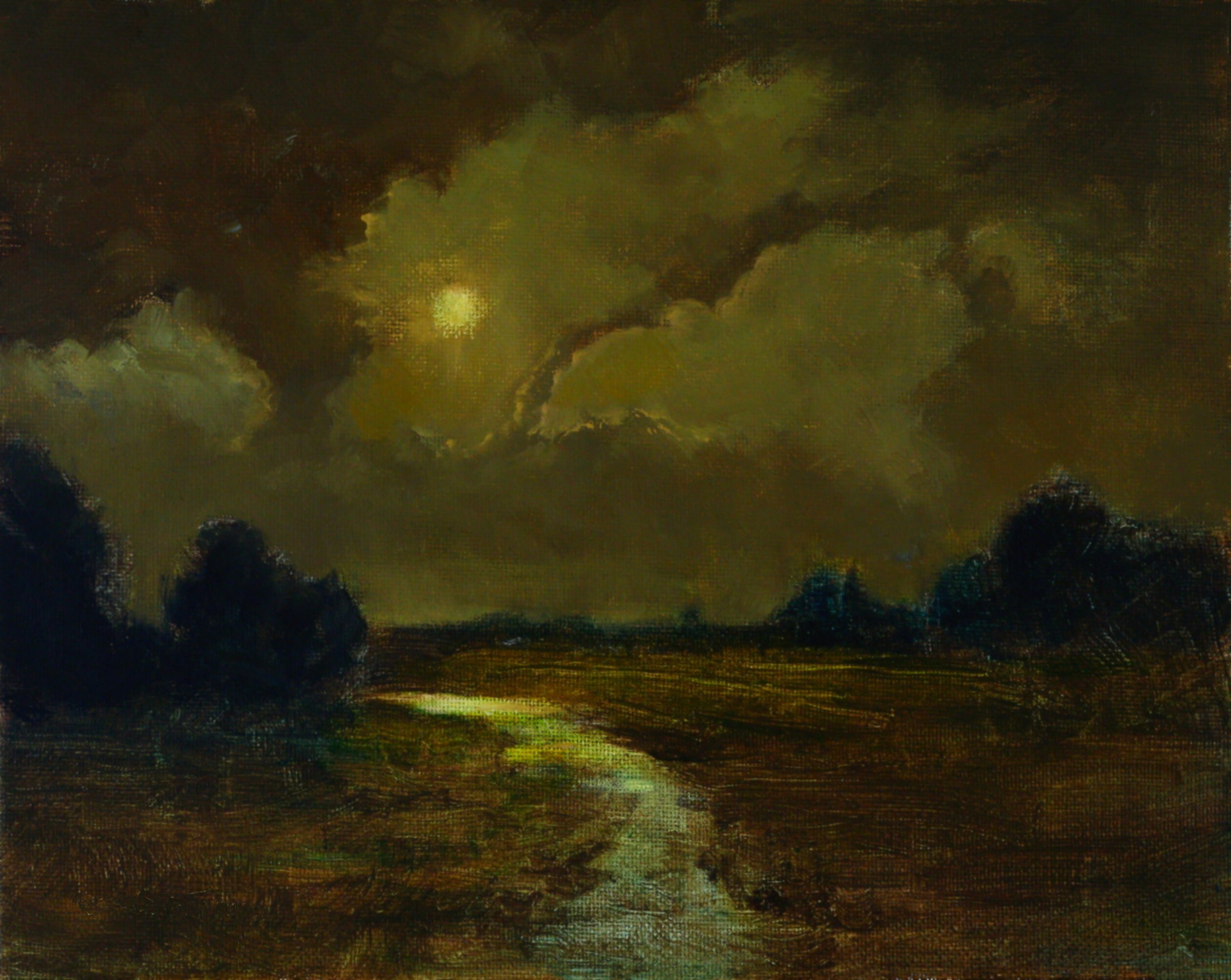 Charles S Talley: Moon Field