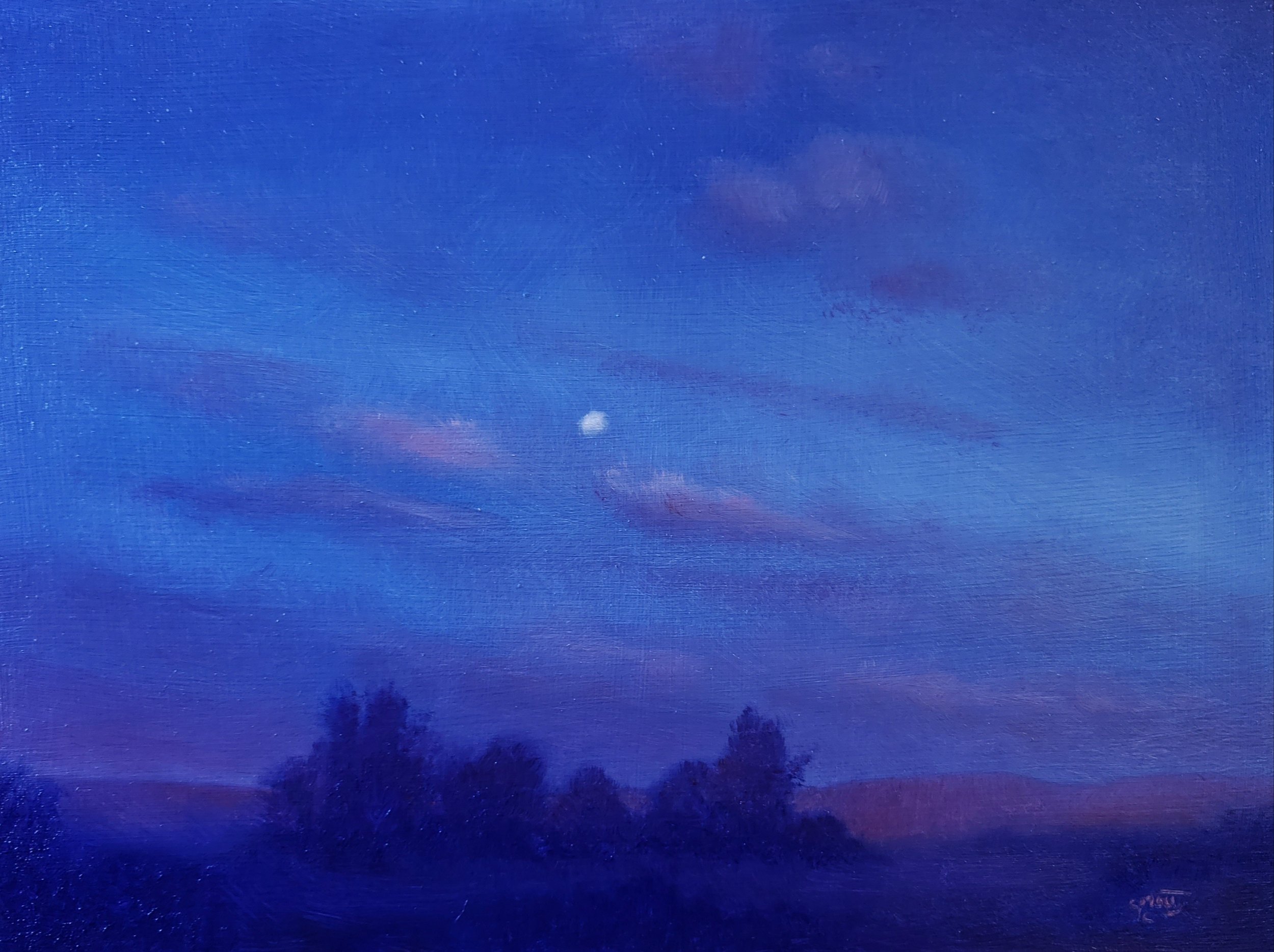 
Claire Capron: Twilight