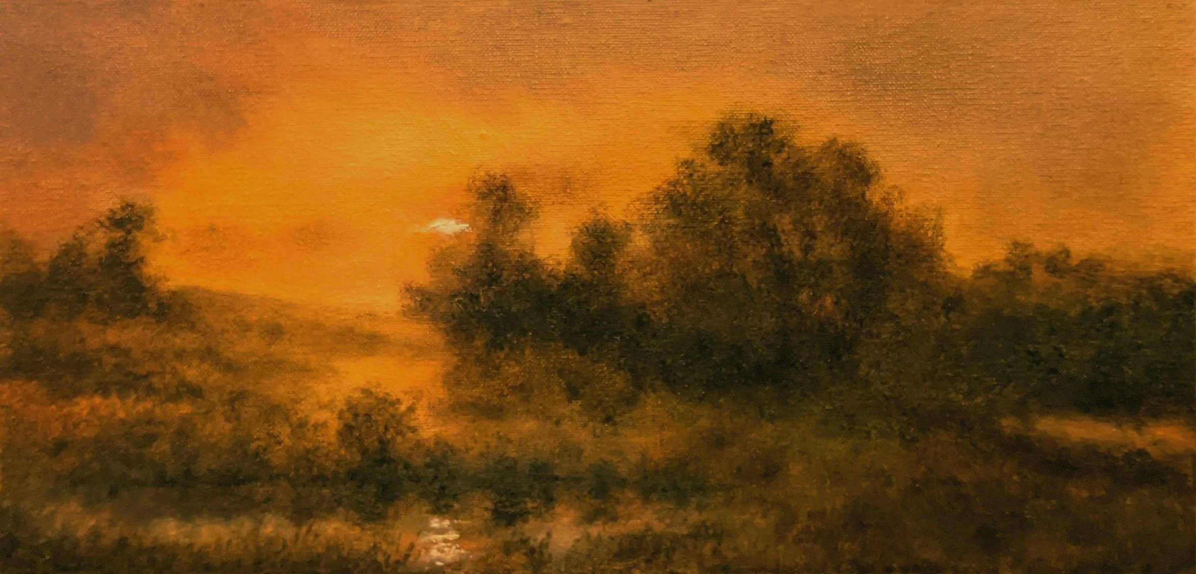 Virginia Bergmann: Dawn Song