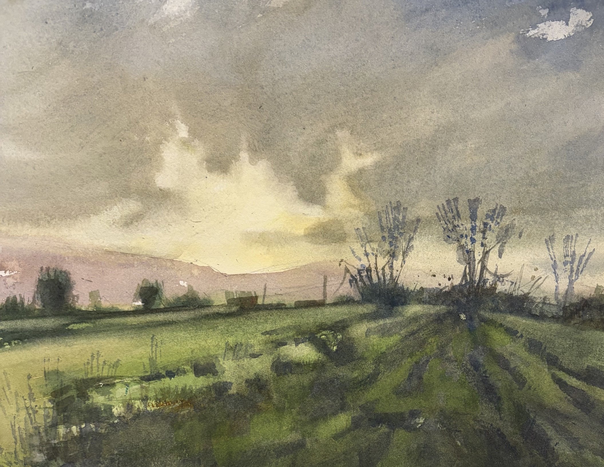 Matthew Chatterley: Edge of a Field