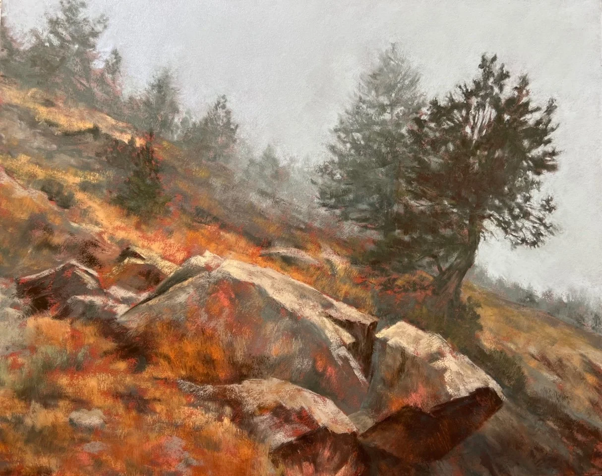 Shannon O'Dunn: The Rock Slide