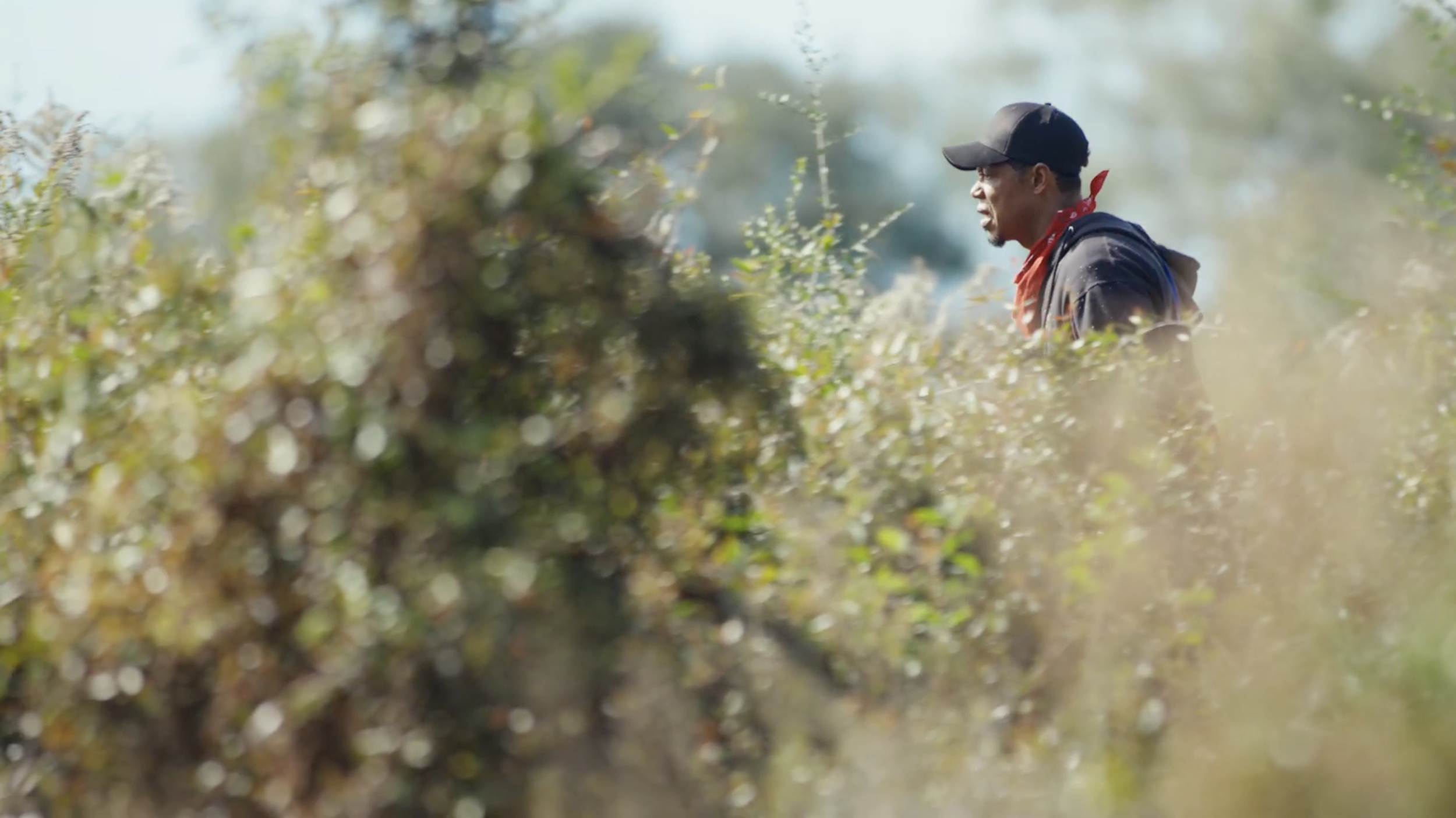 Champion Hunting Dogs & Field Trials with Dr. Treyton Diggs