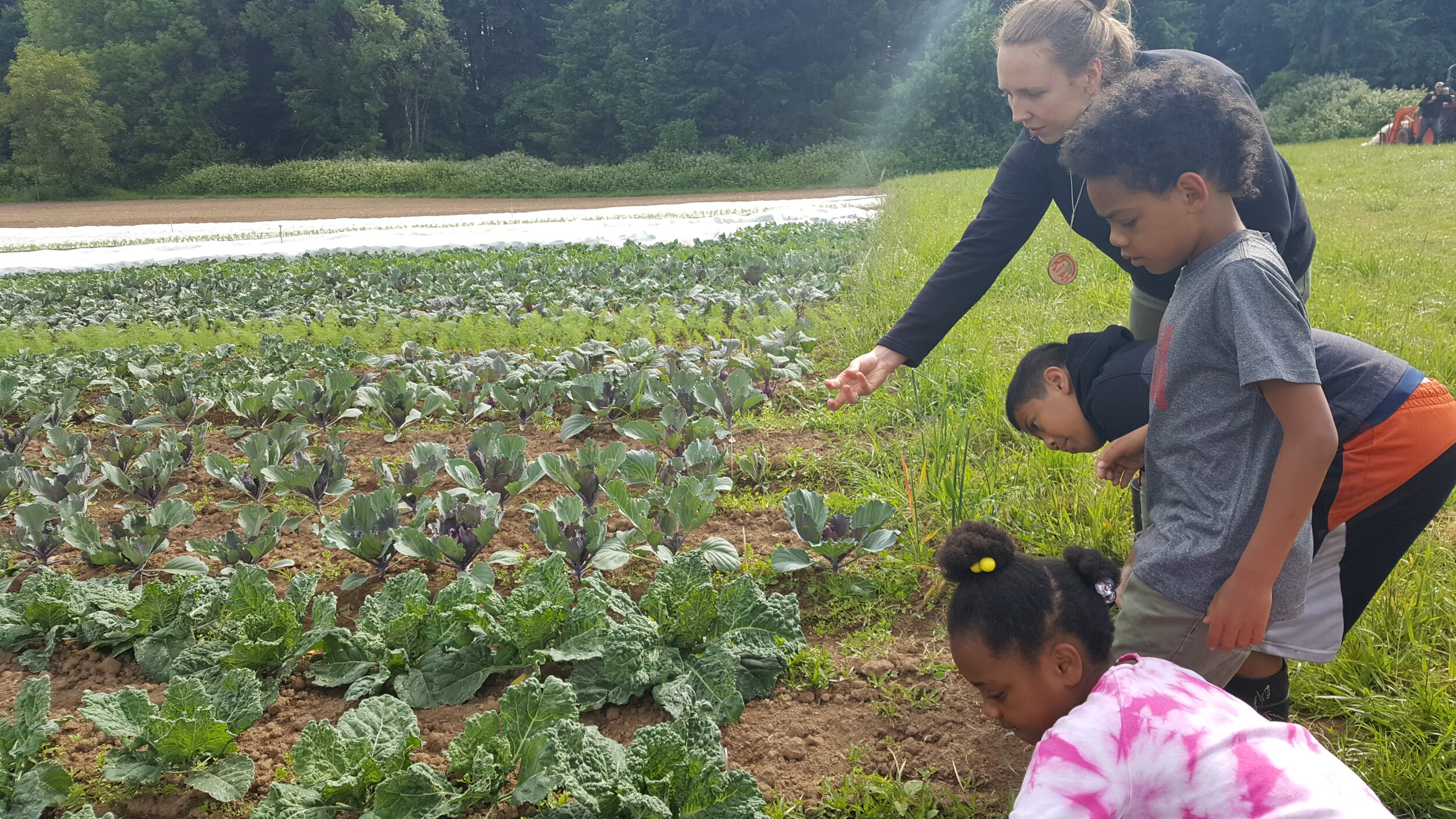 Topaz Farm on Sauvie Island Topaz Farm