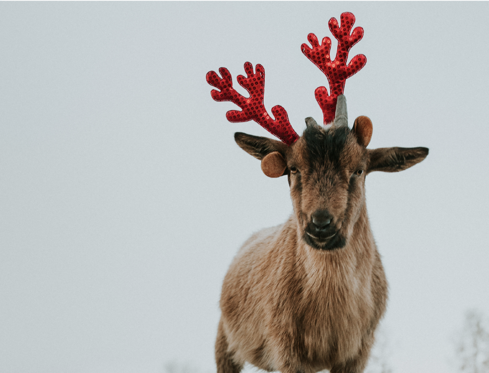 Topaz Farm on Sauvie Island Topaz Farm