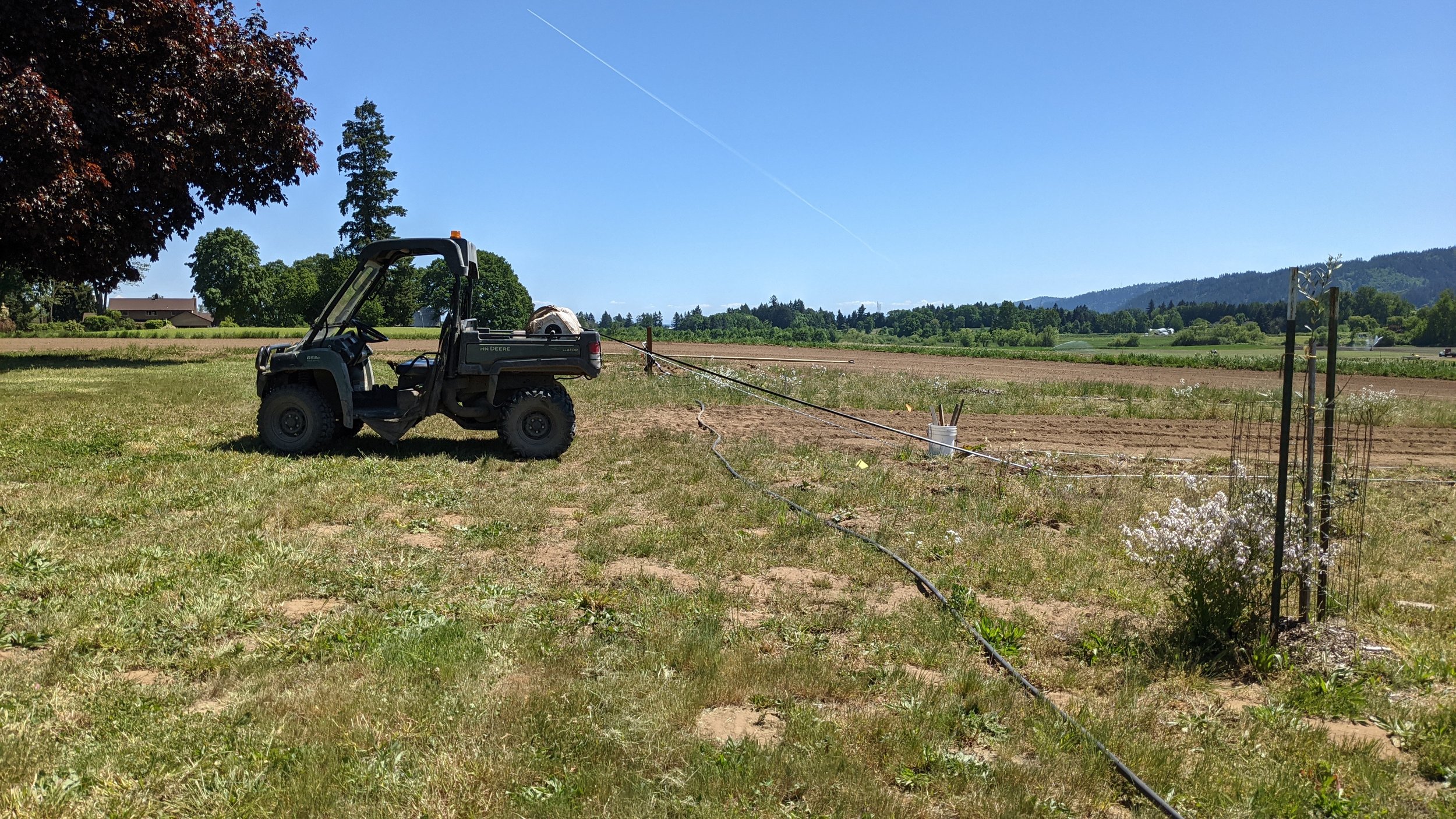  We have been adding more and more drip line to different fields on the farm. The drip lines really helped our greens and tomatoes this year. 