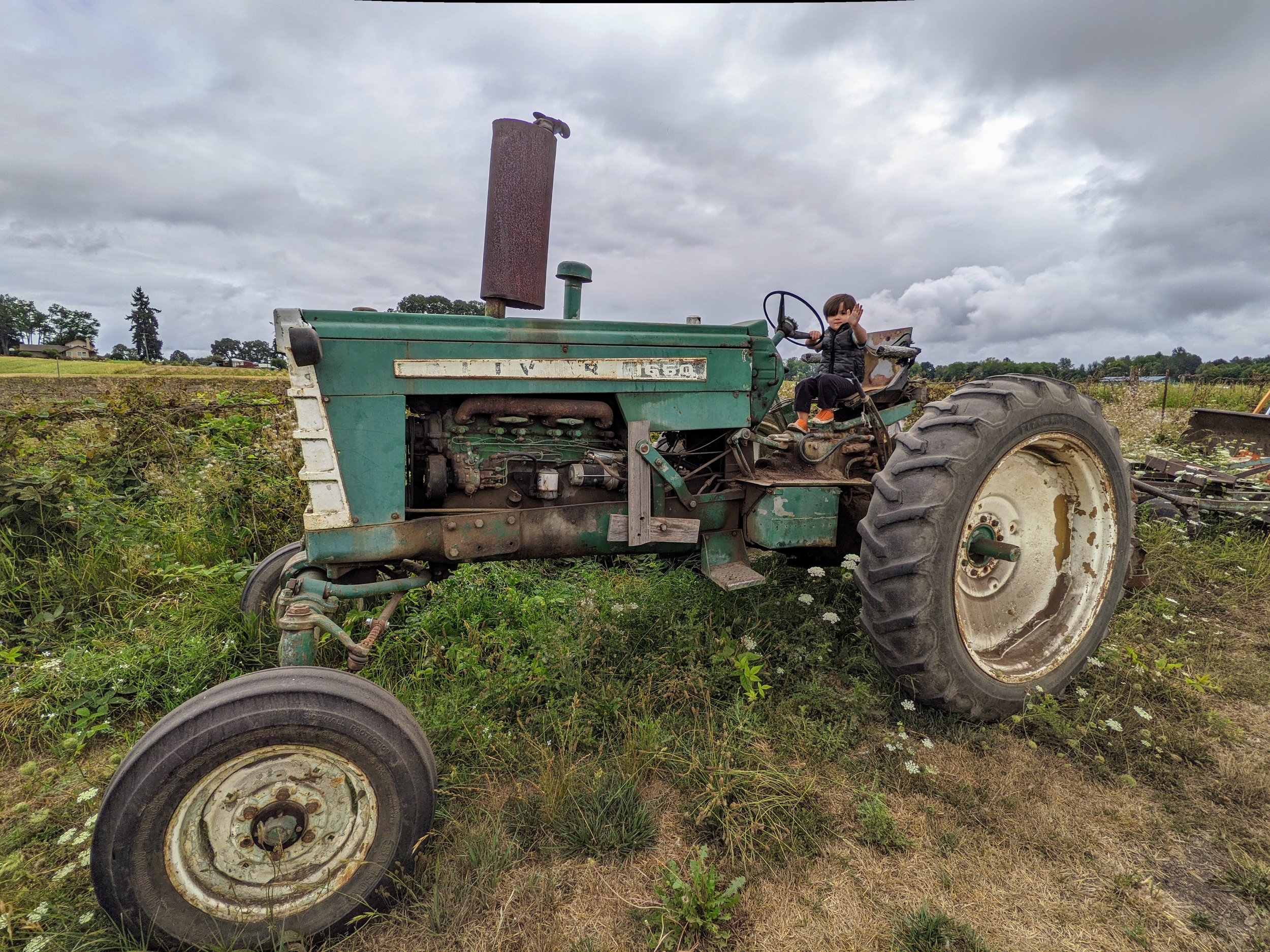  We broke down this year and changed our rule that kids couldn’t climb on the tractors. Even though they might look like relics, they are working tractors, and they have many sharp parts. But the joy of watching how happy the littles are to drive a t
