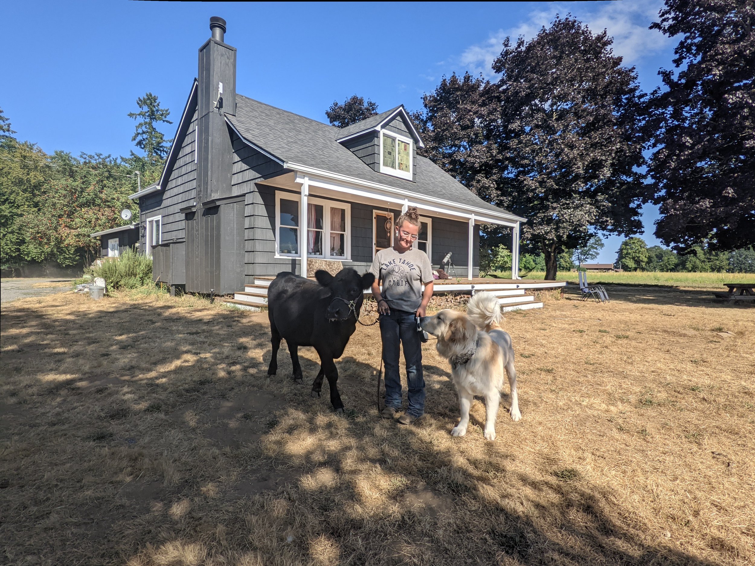  Our daughter, Odessa, taking Rita and Sammy for a walk together. 