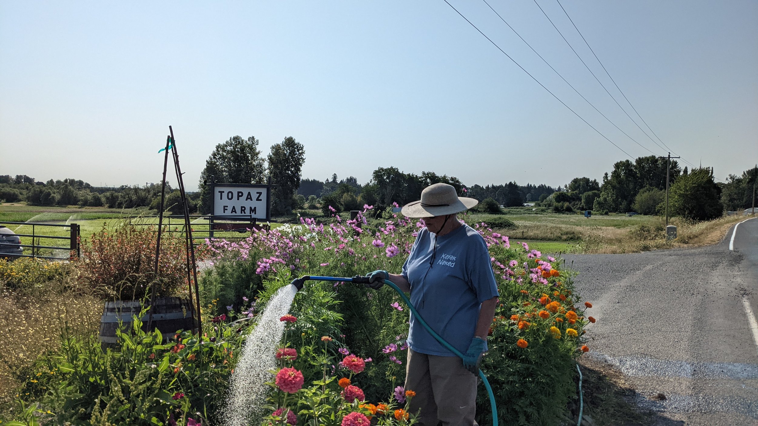  Our friend and neighbor, Joann, came by everyday to water our flowers at the farm entrance, and around the buildings. We have the most generous friends and neighbors. They helped us in so many ways this season. 