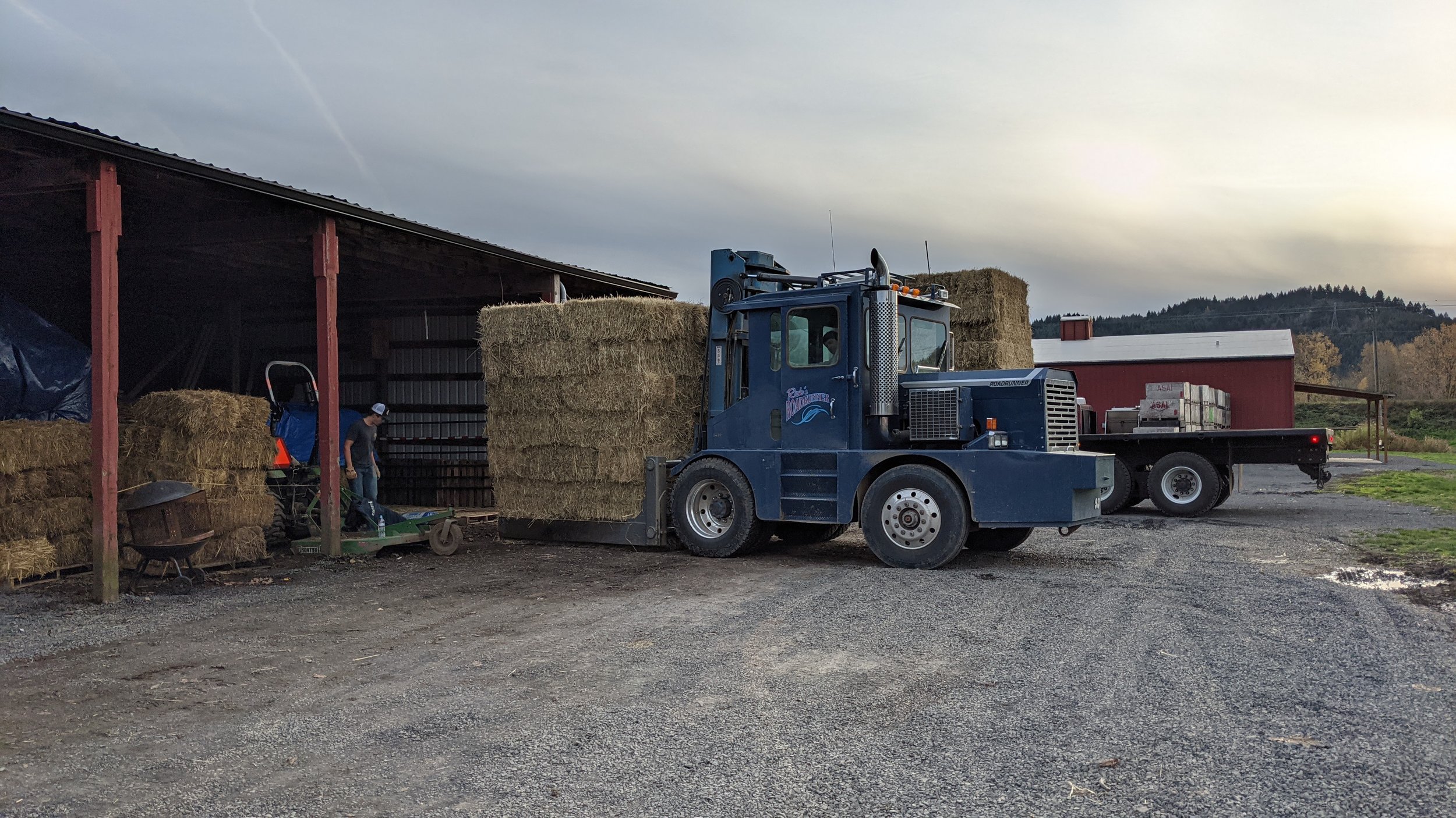  Stocking up on hay for all the animals to eat this winter, with the help of our friends at Hoffman Farms and neighbors, the Fazios. With the extreme heat this summer, there is a real shortage of hay for feed. And what hay is available is very expens