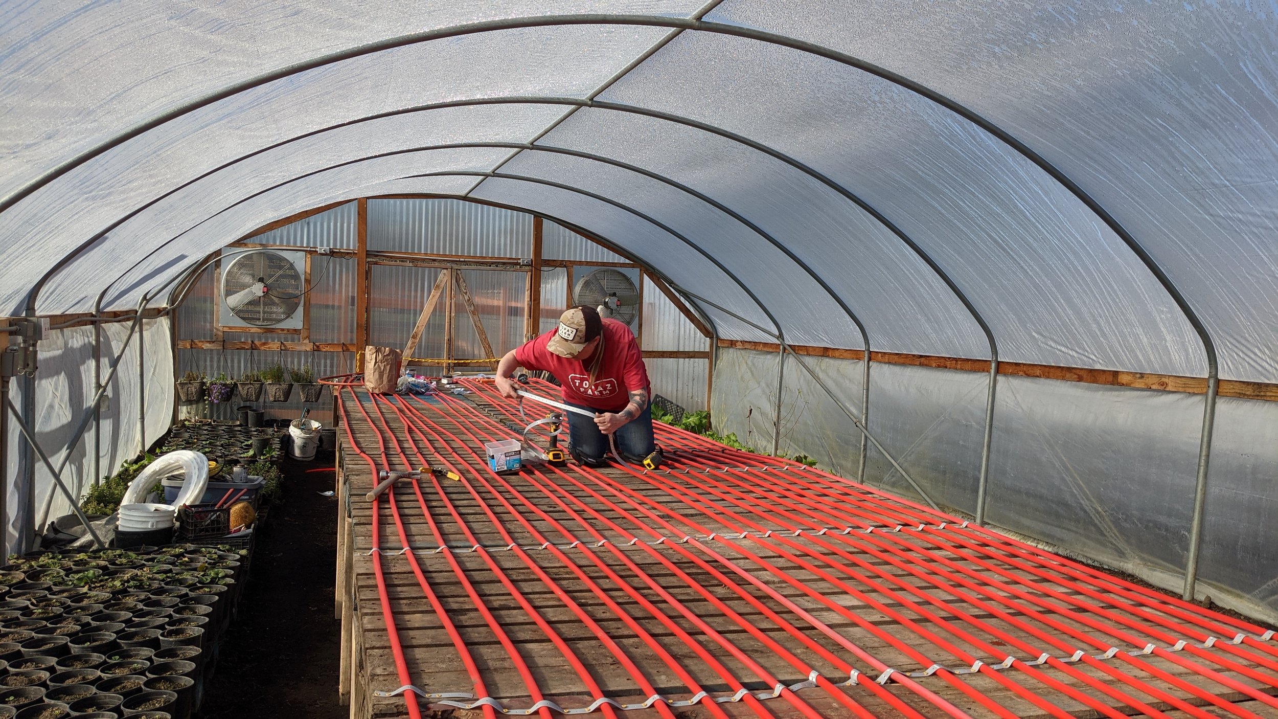  Kat, installing the heated lines for the greenhouse tables. This allowed us to get our starts going early and is much more efficient than heating the greenhouse air. 