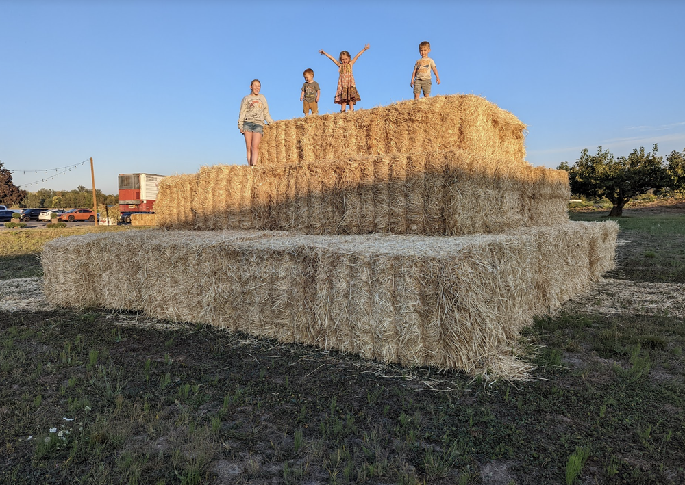 Best way to deal with a field of relentless weeds: build a hay pyramid.