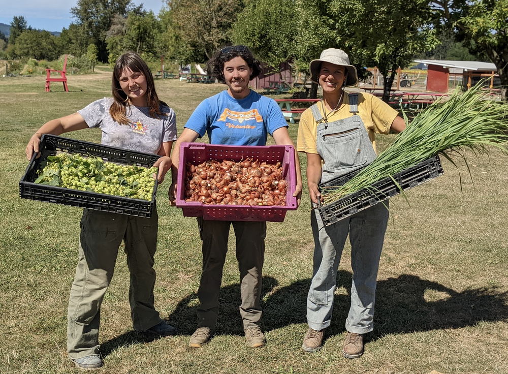Drew, Morgan, Grace after harvesting cucamelons, shallots and lemongrass.