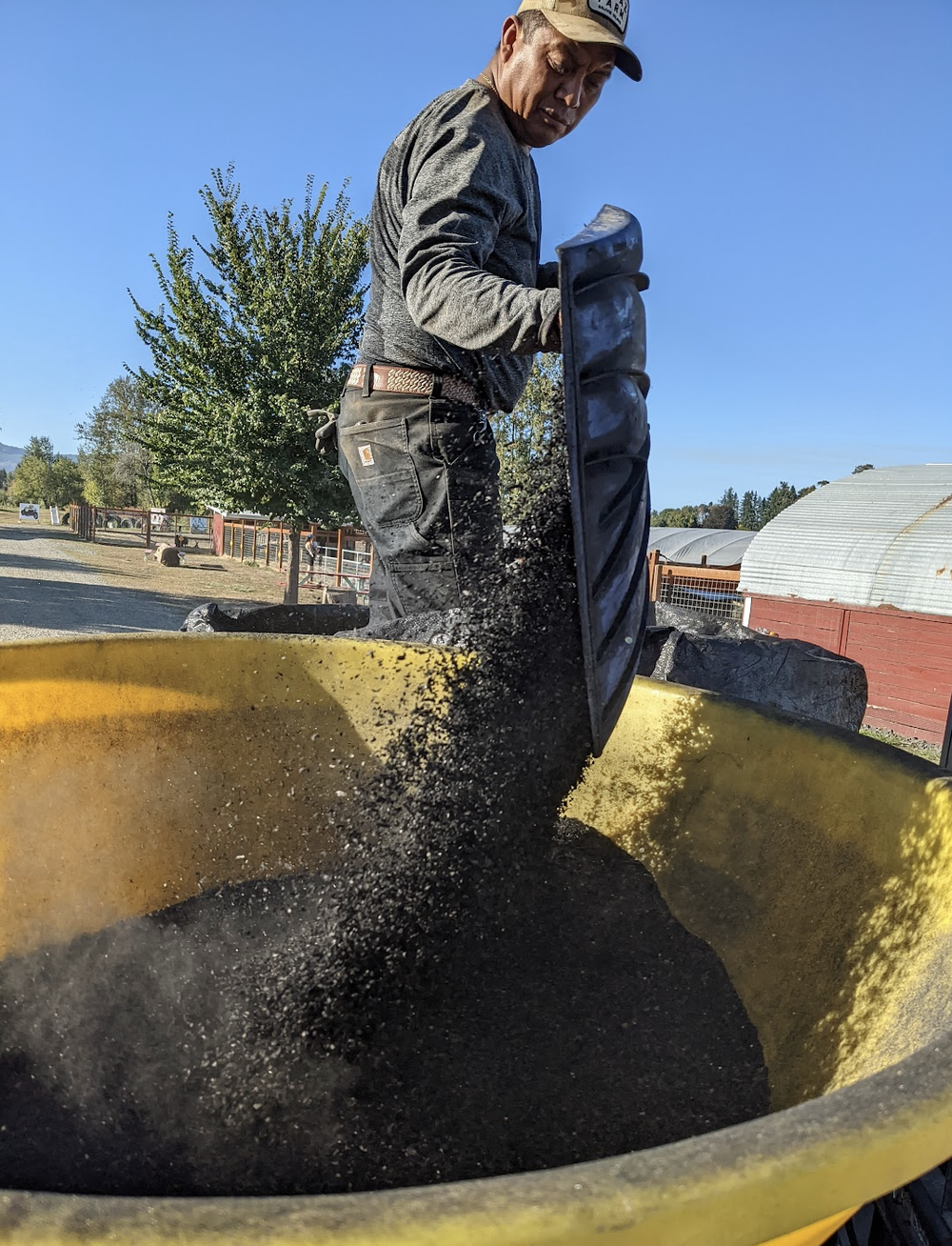 Luis spreading biochar into the fields. The dry weather gave us the opportunity to plant cover crops in all our fields this year, before it got too muddy.