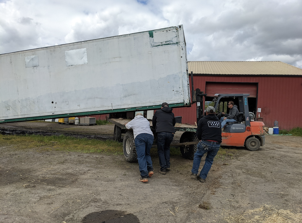 Using the forklift and a hay ride trailer to move the 40' trailer over to the Sauvie Island Center garden.