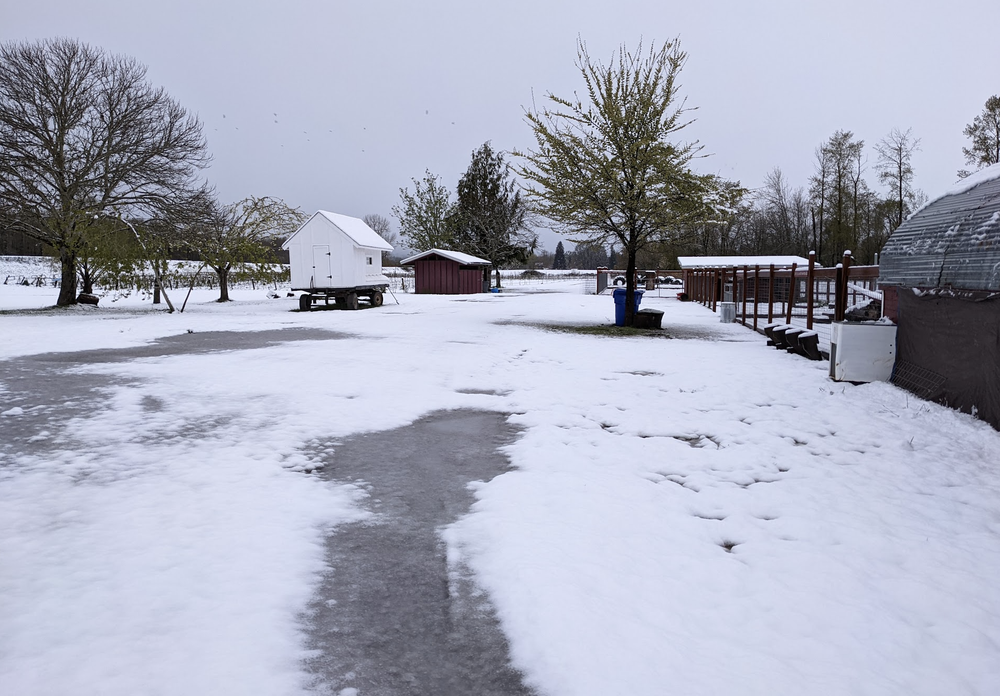 April snow on the farm.