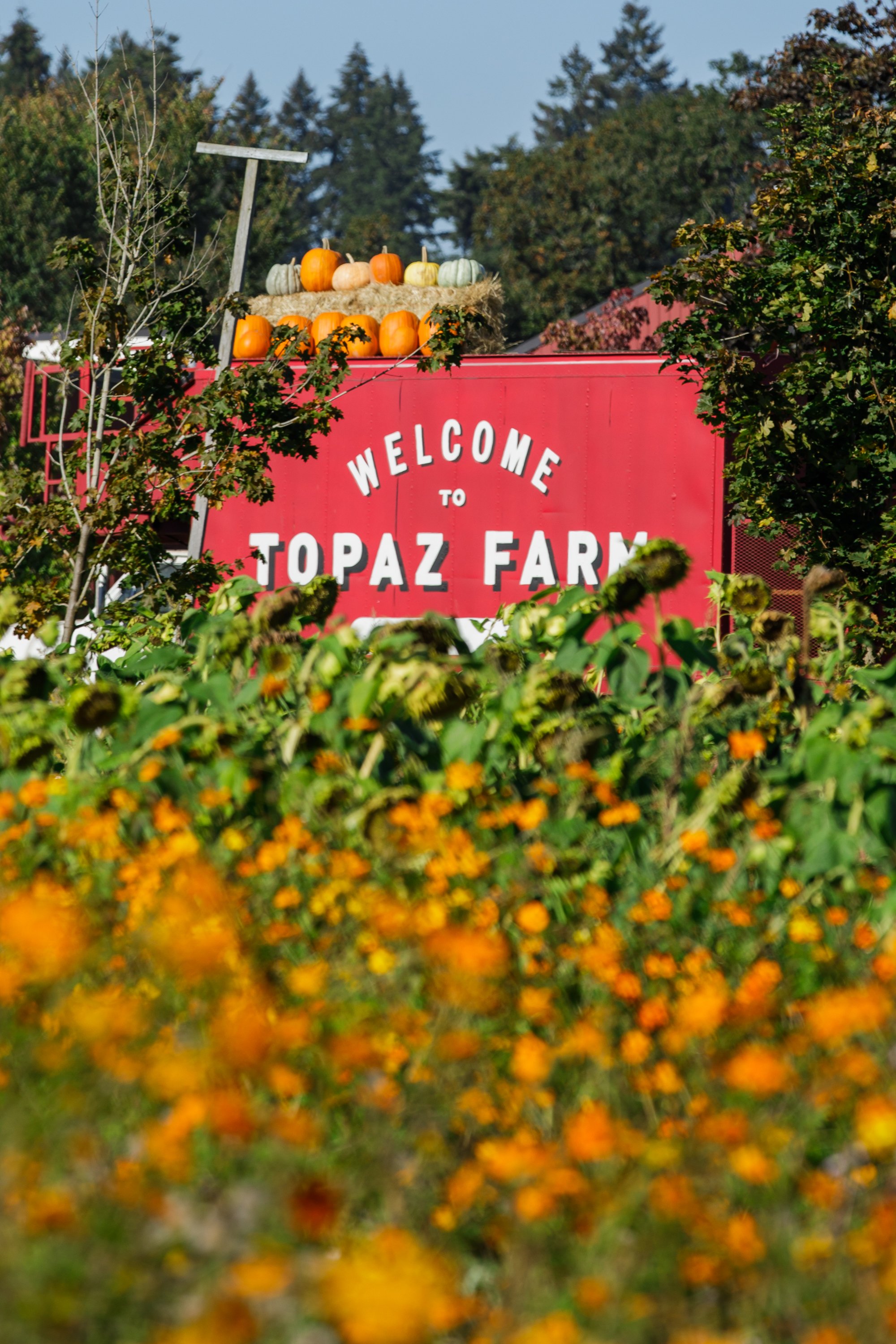 Topaz_Fall2026©JuliaVarga-121.jpg