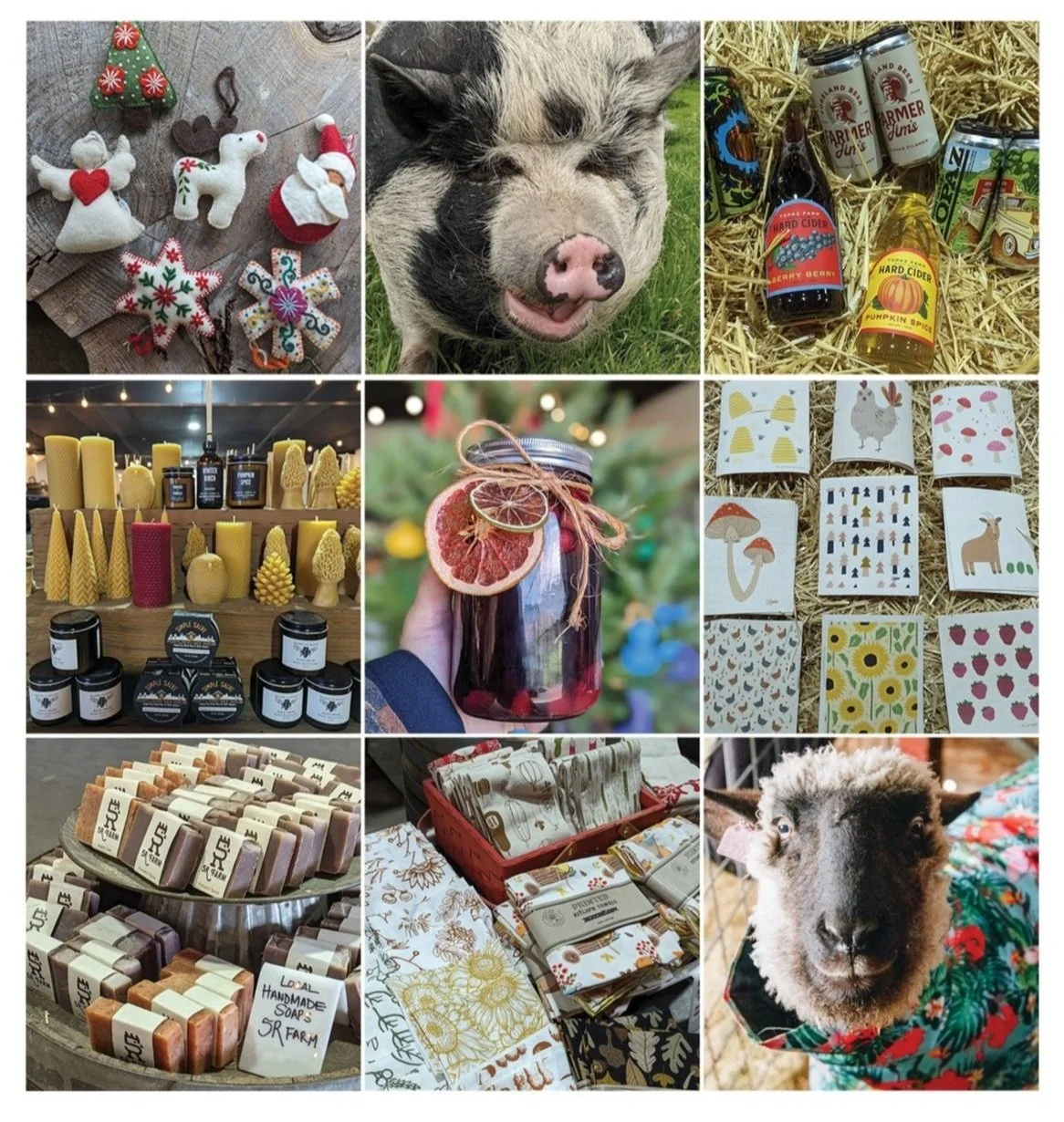 Topaz Farm Pumpkin Patch & UPick Sauvie Island Portland