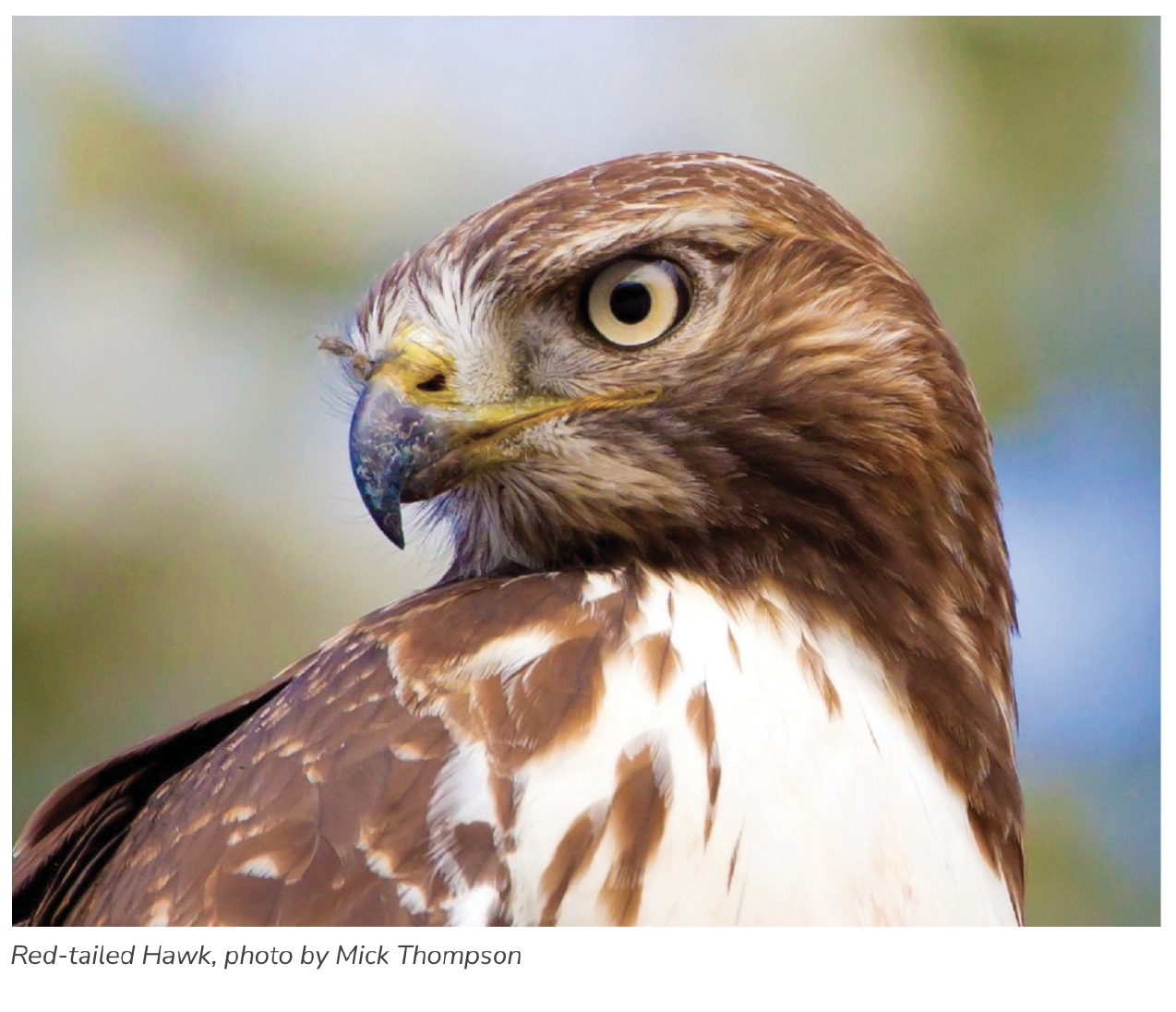 Topaz Farm Pumpkin Patch & UPick Sauvie Island Portland