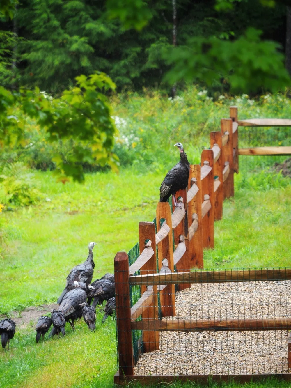 Visitors come calling