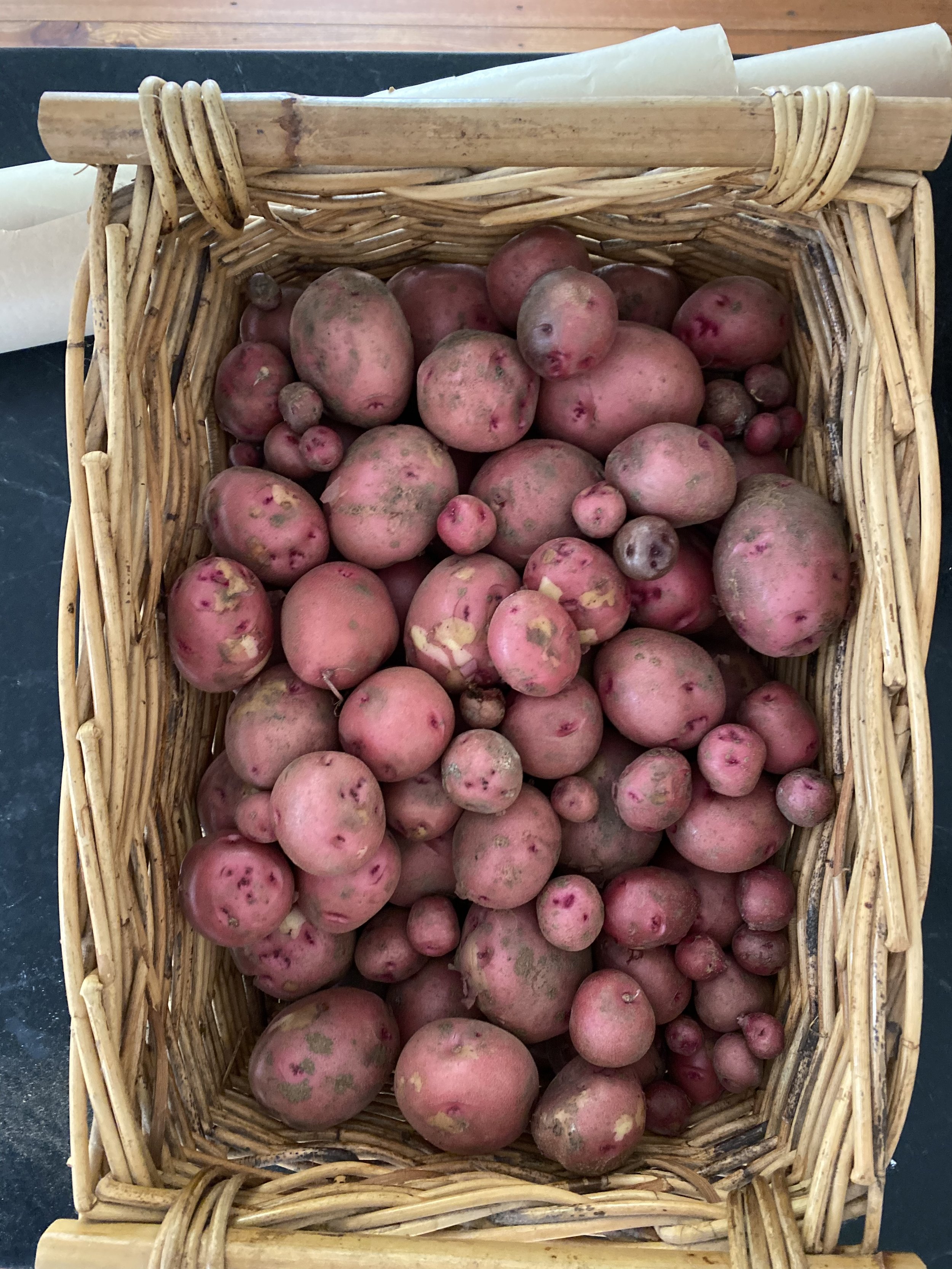 First batch of potatoes